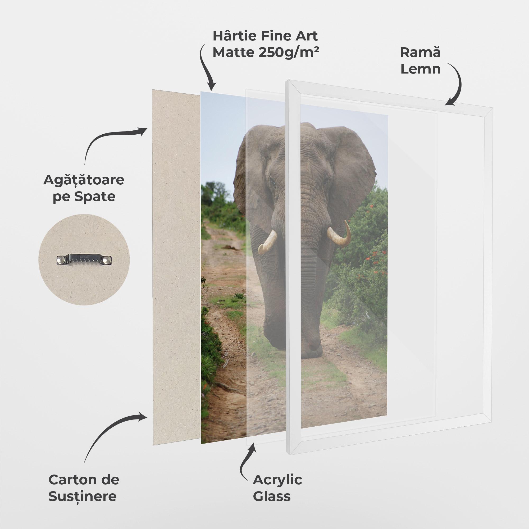 Poster Înrămat Elephant Safari mockup 1