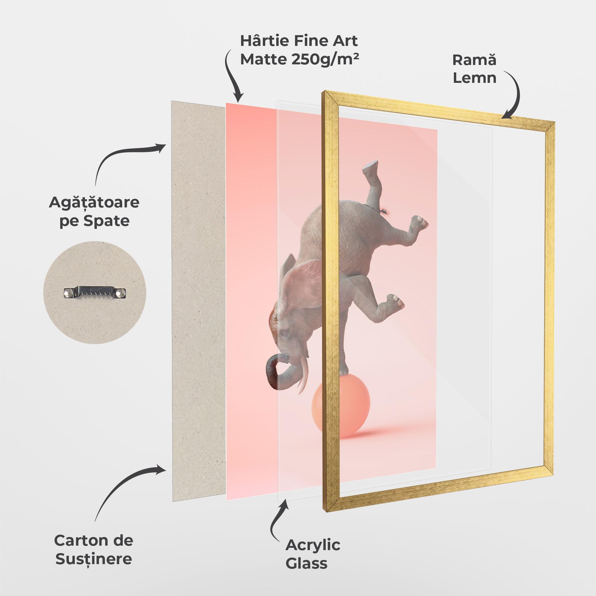 Poster Înrămat Ball Elephant mockup 1