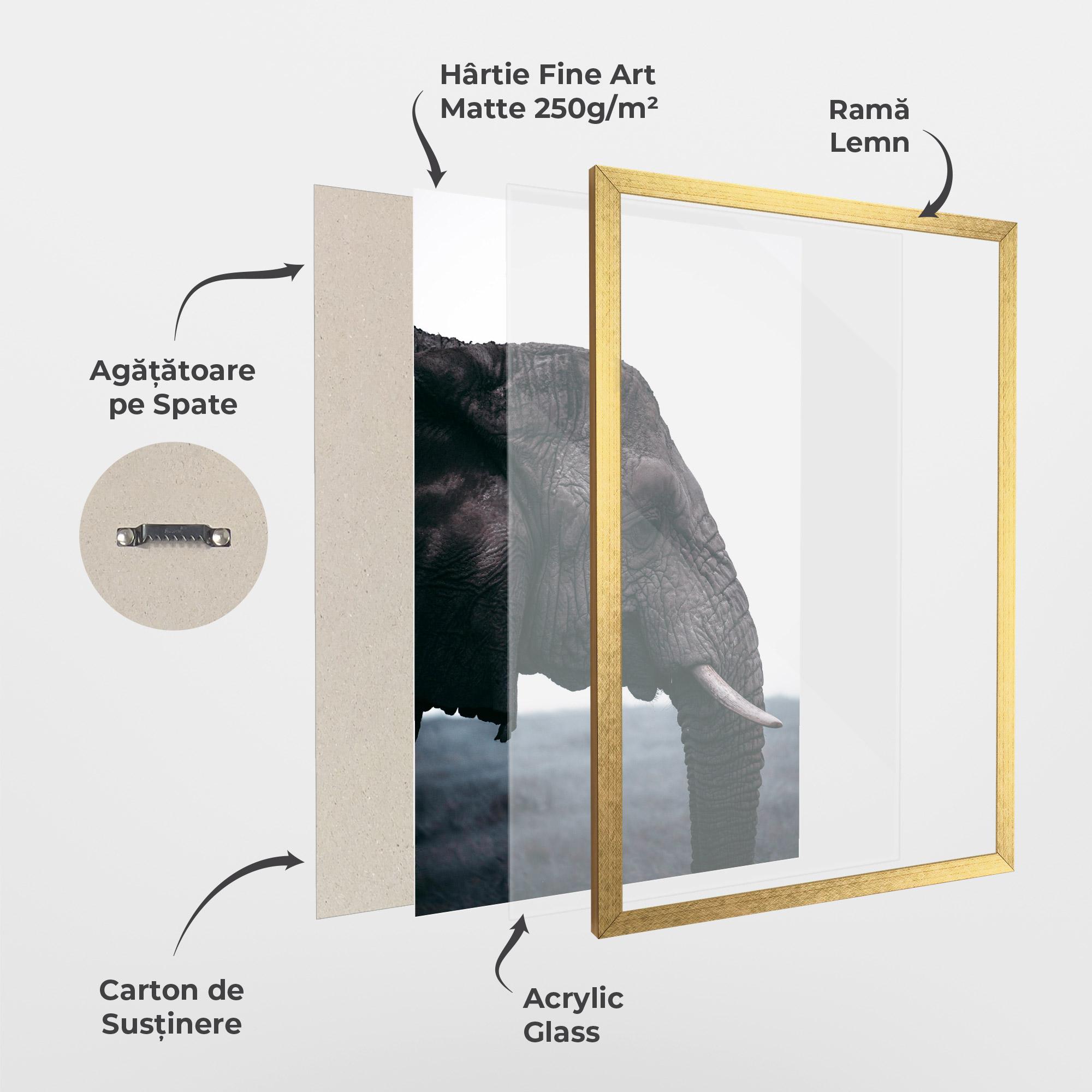 Poster Înrămat Close Grey Eelephant mockup 1