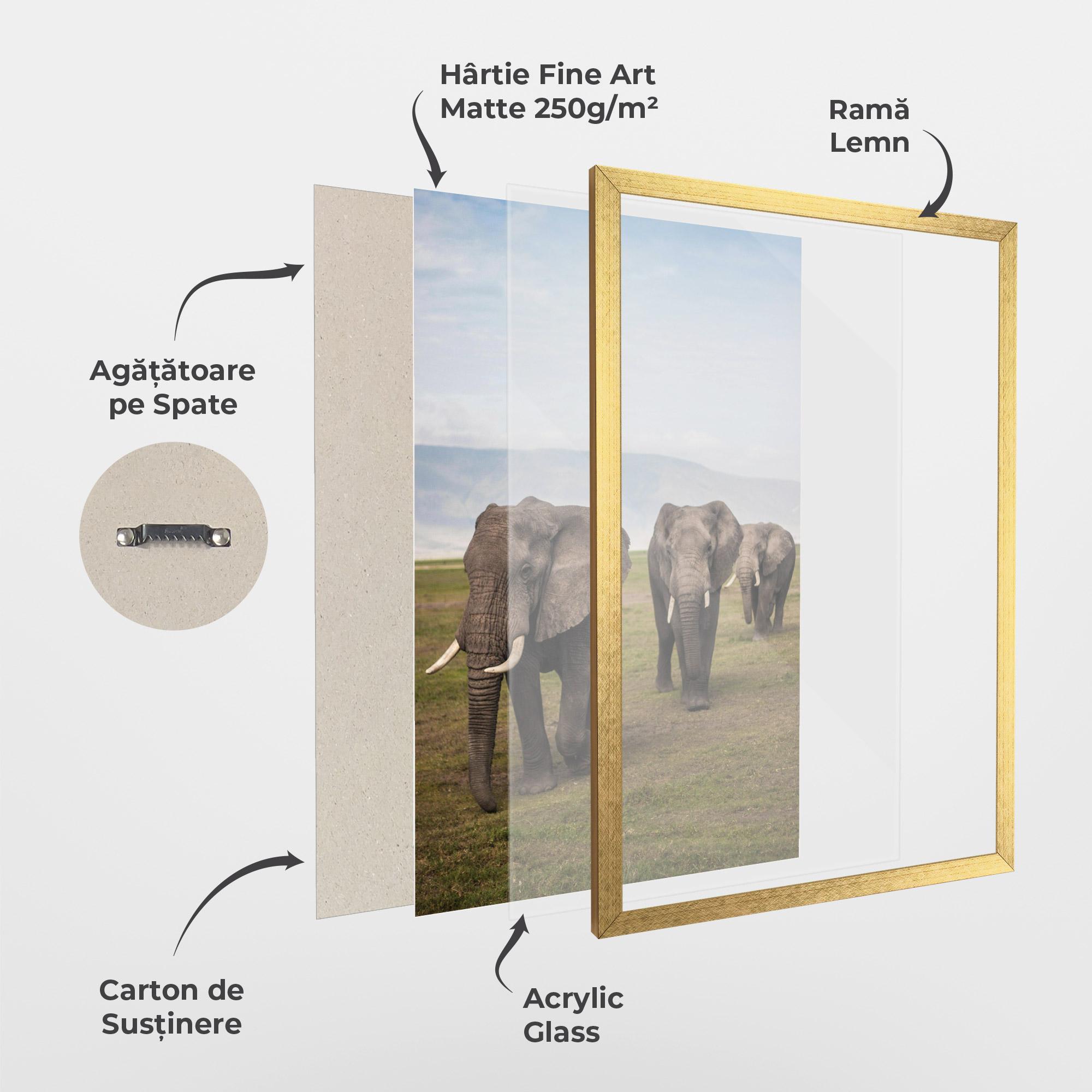 Poster Înrămat Elephant Landscape mockup 1