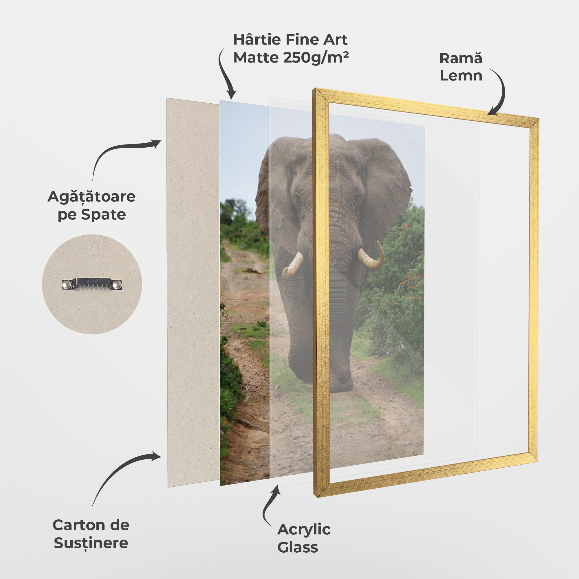 Poster Înrămat Elephant Safari mockup 1