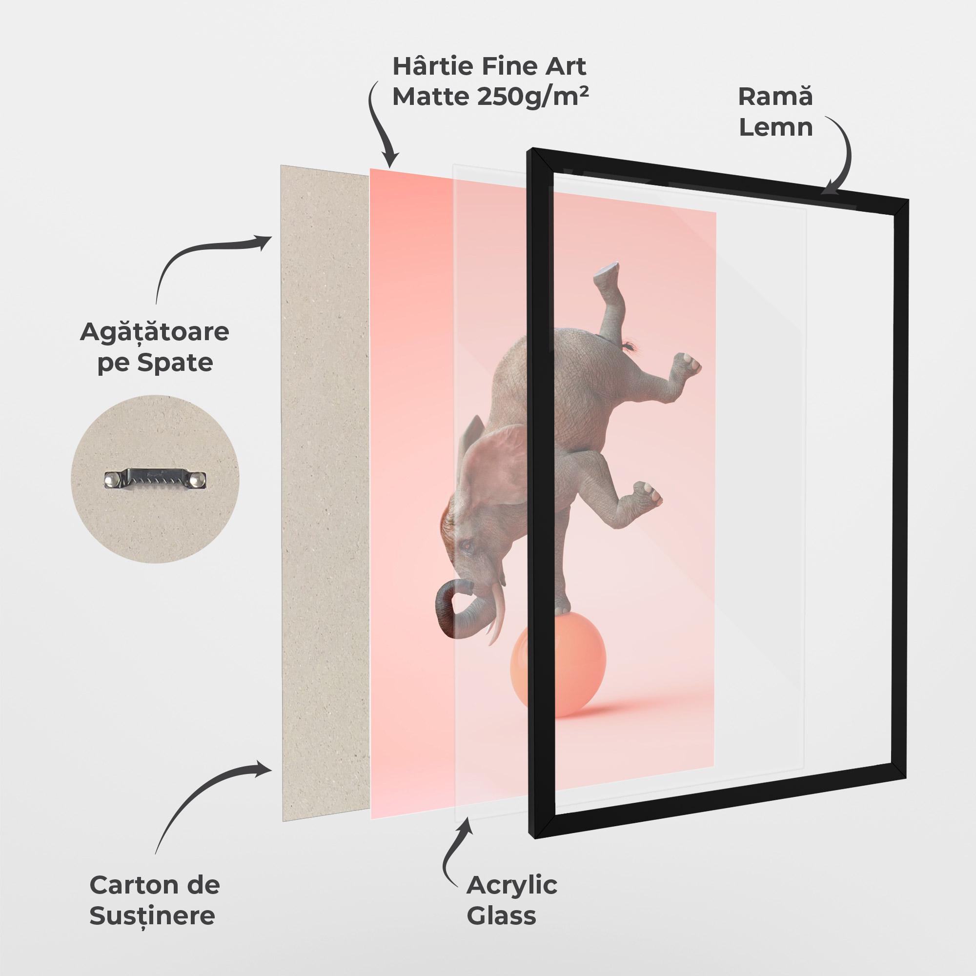 Poster Înrămat Ball Elephant mockup 1