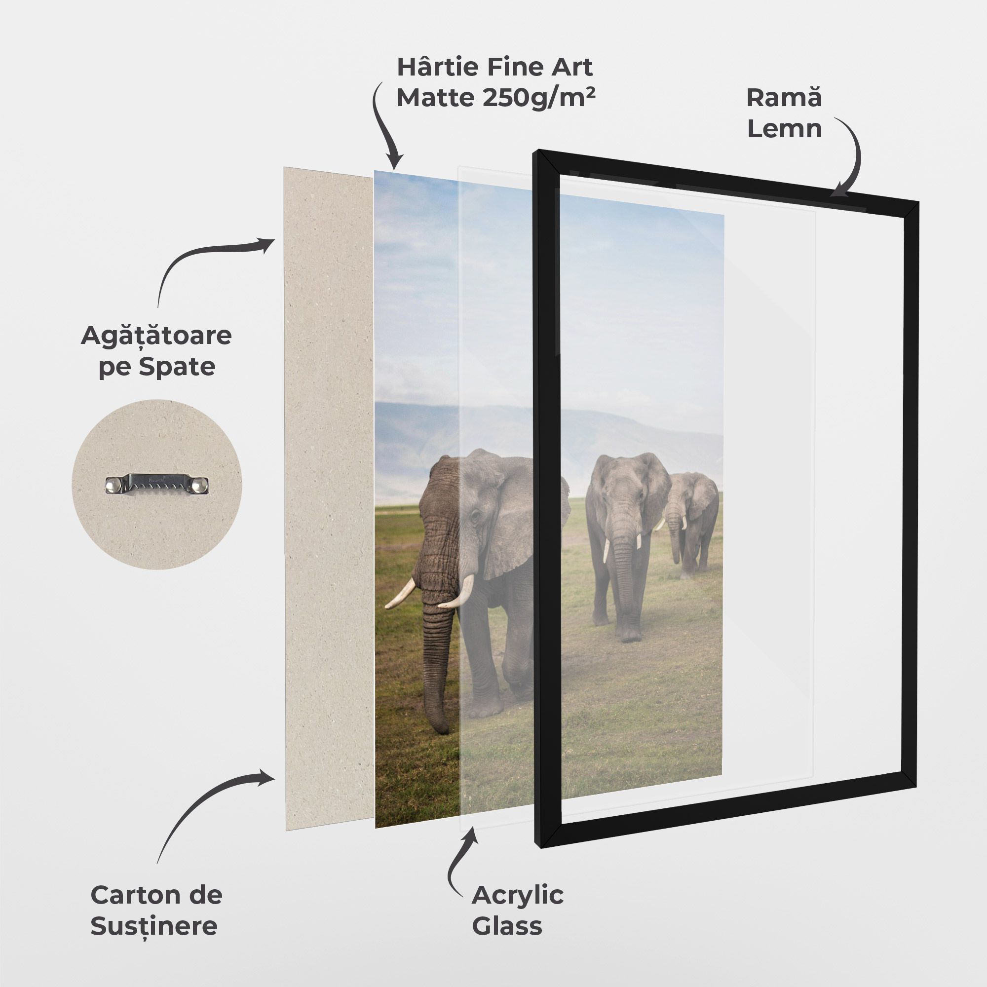 Elephant Landscape mockup 1