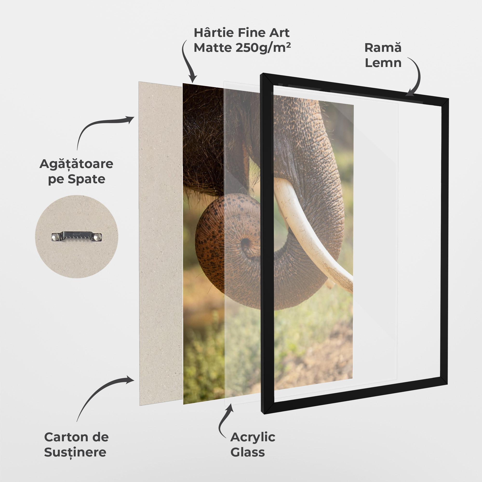 Poster Înrămat Elephant Mouth Close Up mockup 1