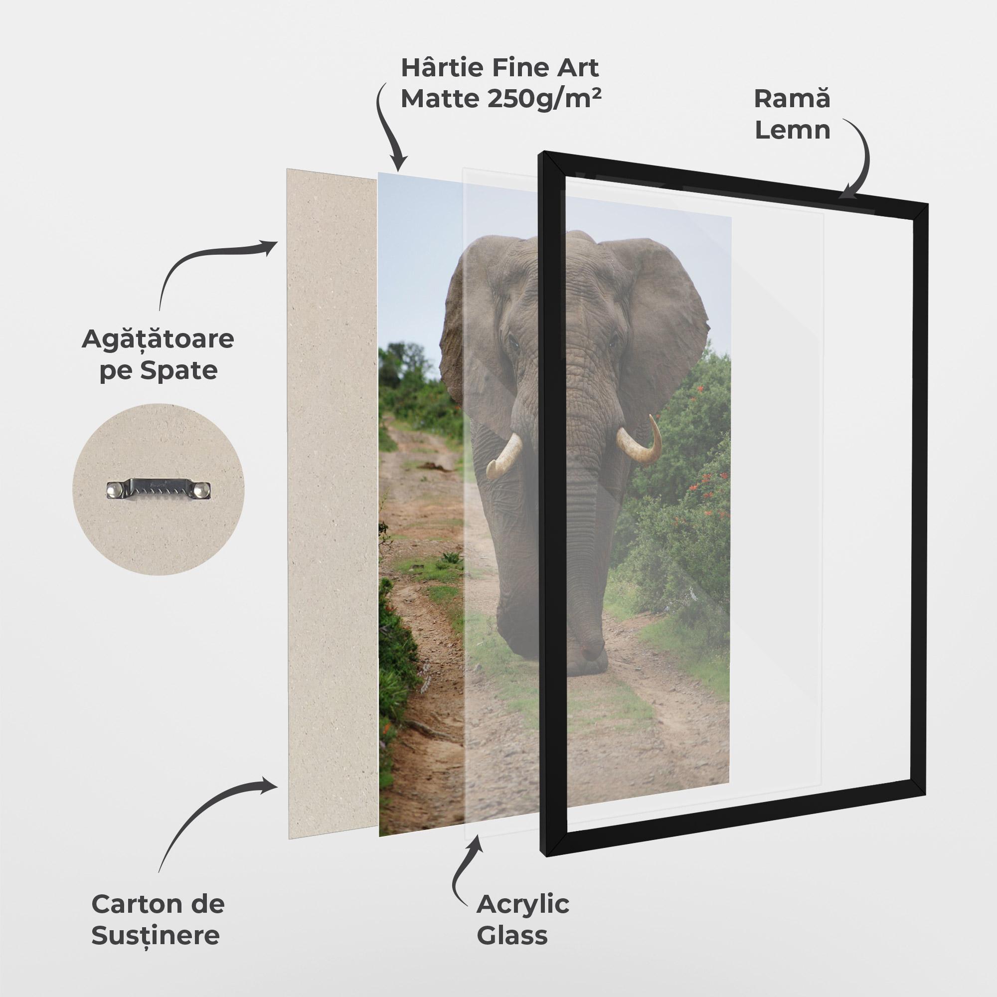 Poster Înrămat Elephant Safari mockup 1