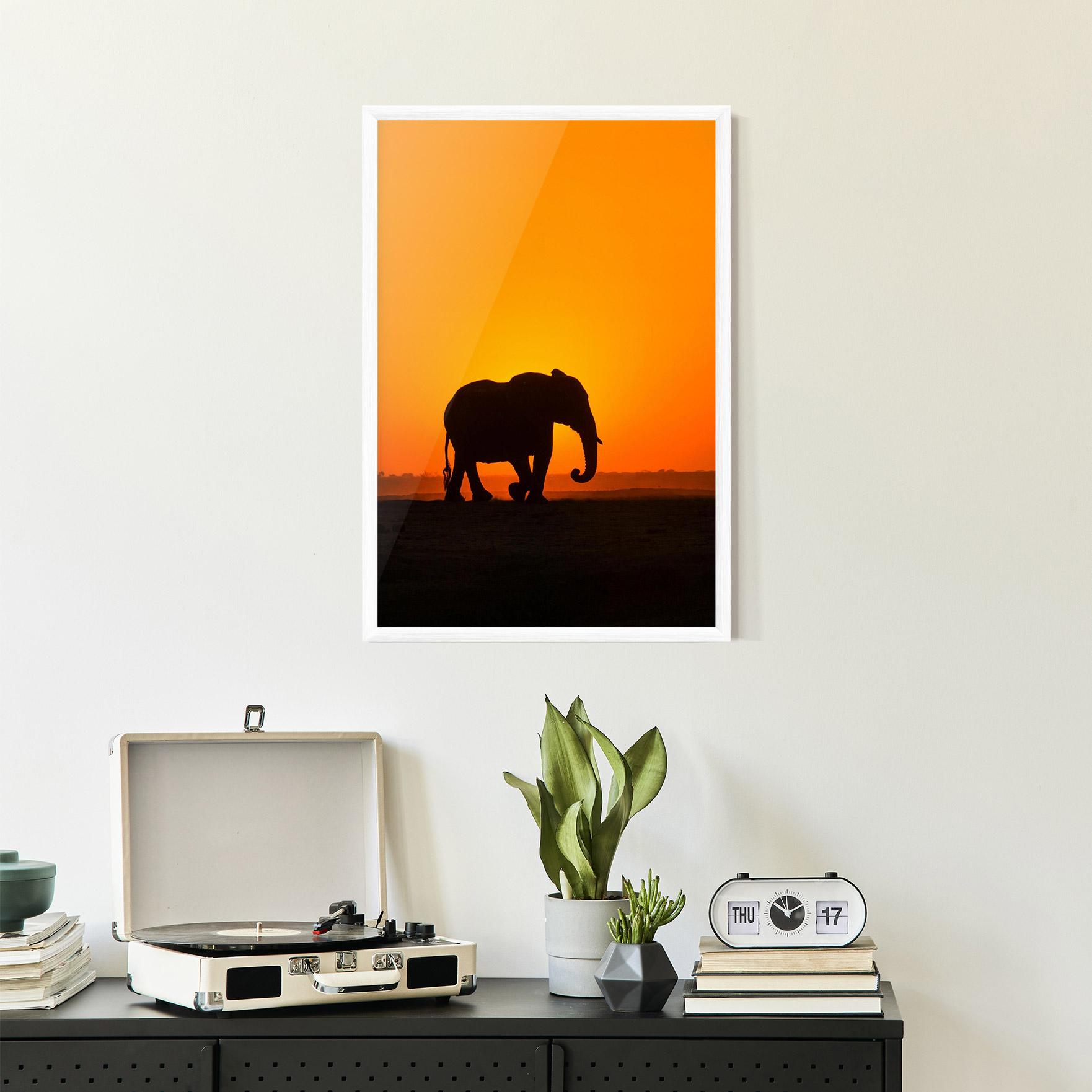 Poster Înrămat Beautiful Elephant mockup 2