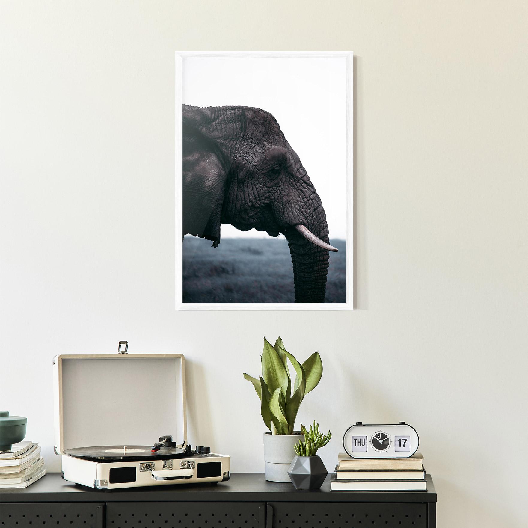 Poster Înrămat Close Grey Eelephant mockup 2