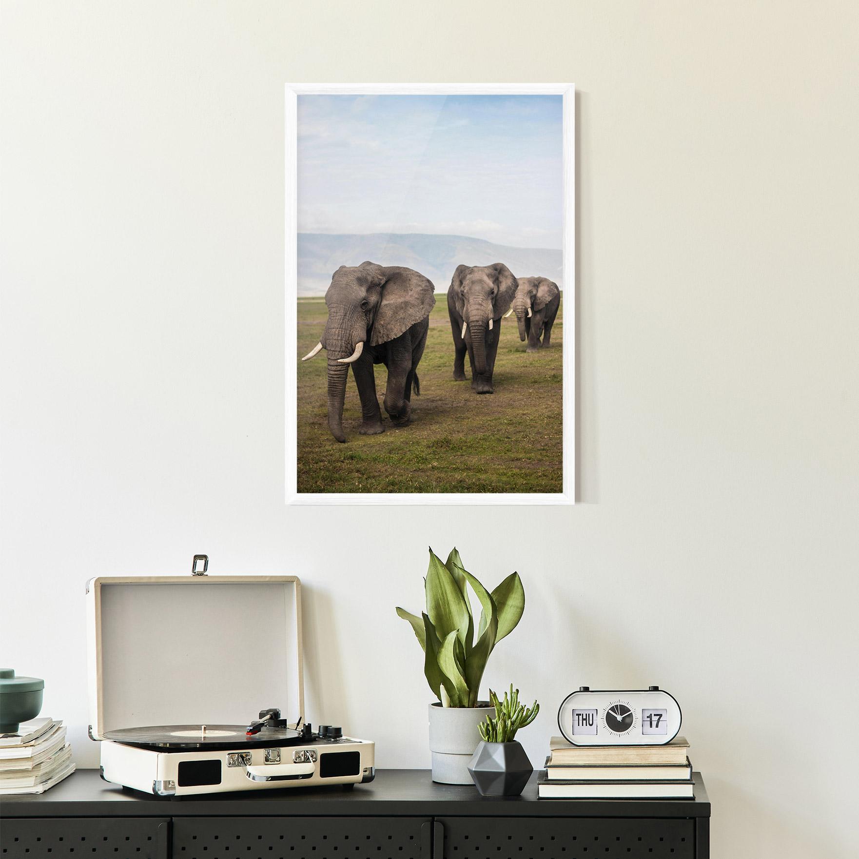 Poster Înrămat Elephant Landscape mockup 2