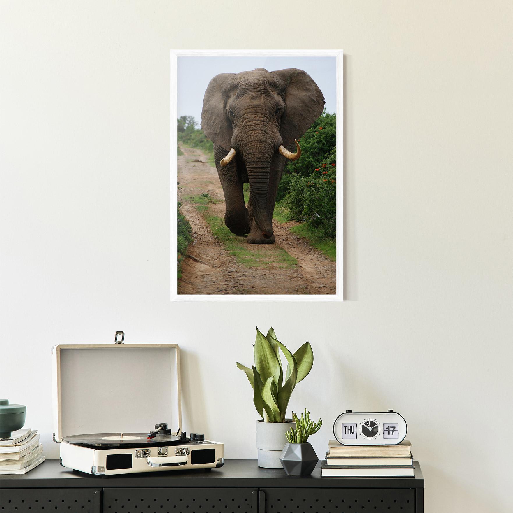 Poster Înrămat Elephant Safari mockup 2