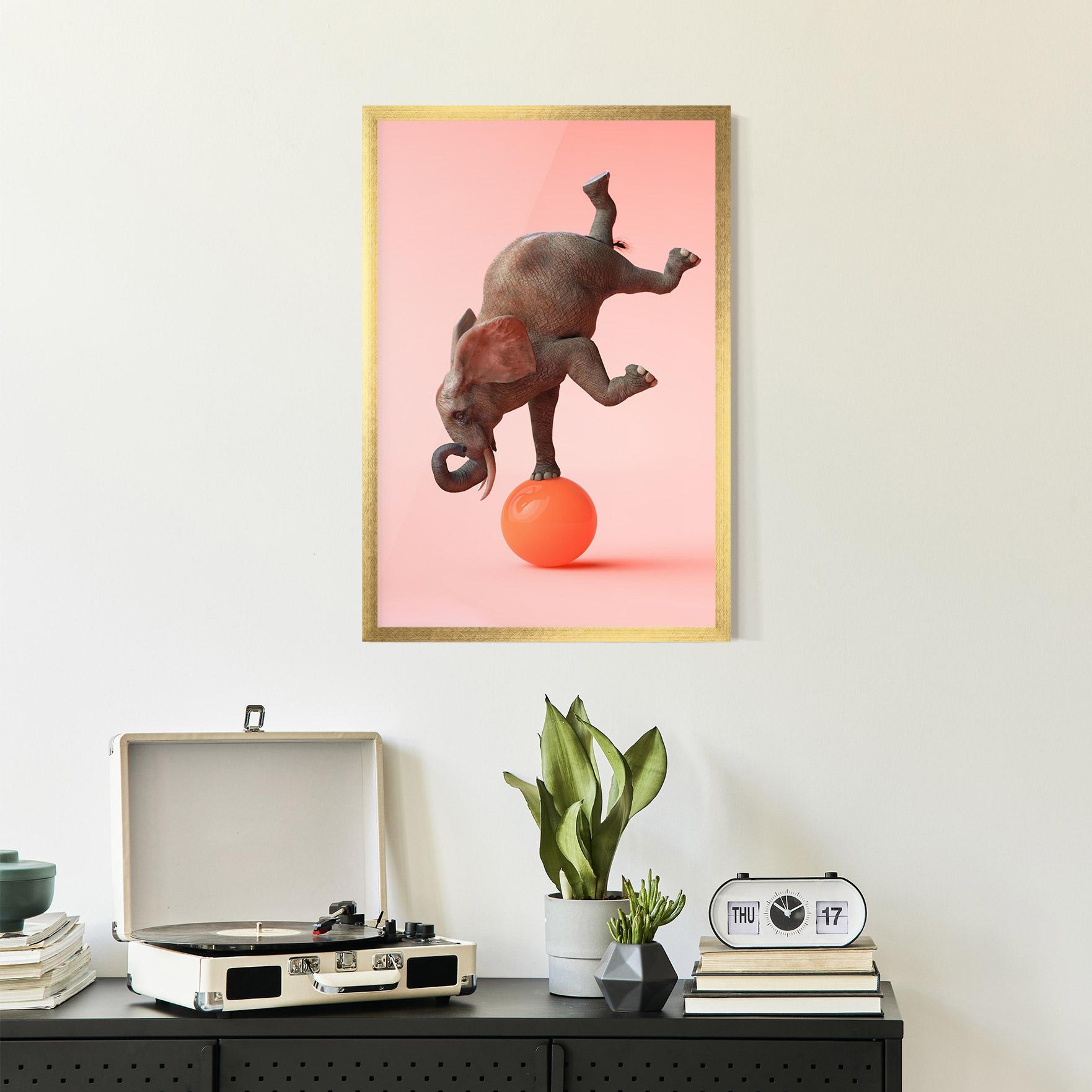Poster Înrămat Ball Elephant mockup 2