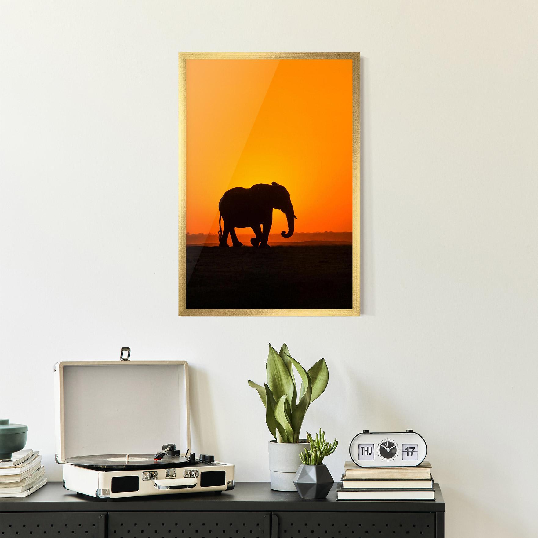 Poster Înrămat Beautiful Elephant mockup 2