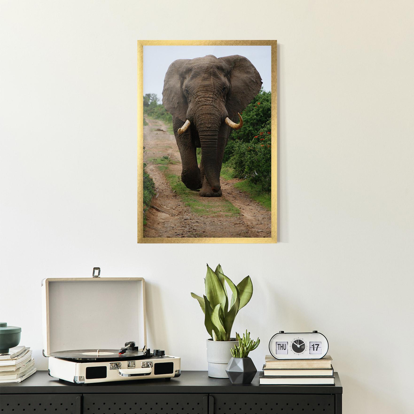 Poster Înrămat Elephant Safari mockup 2