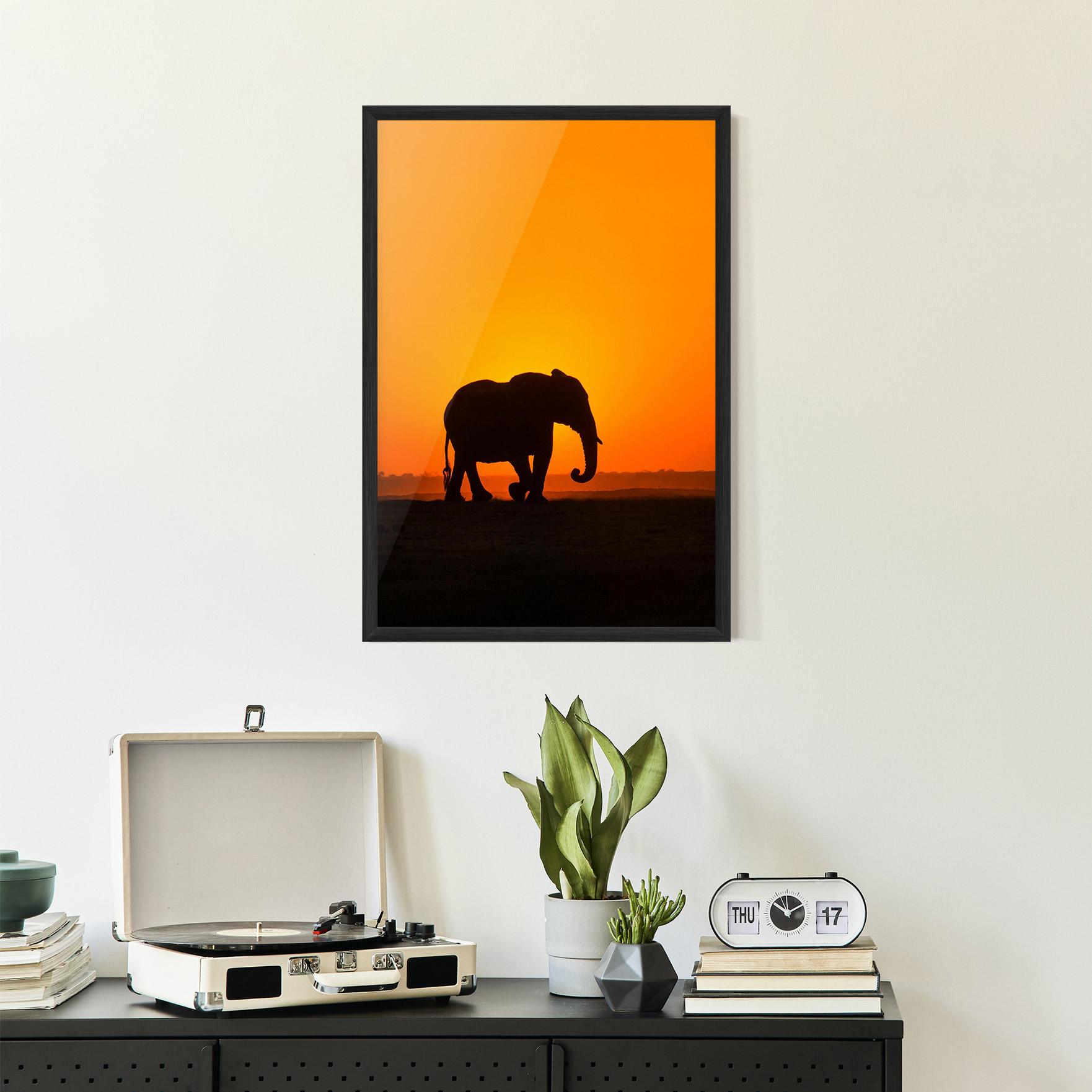 Poster Înrămat Beautiful Elephant mockup 2