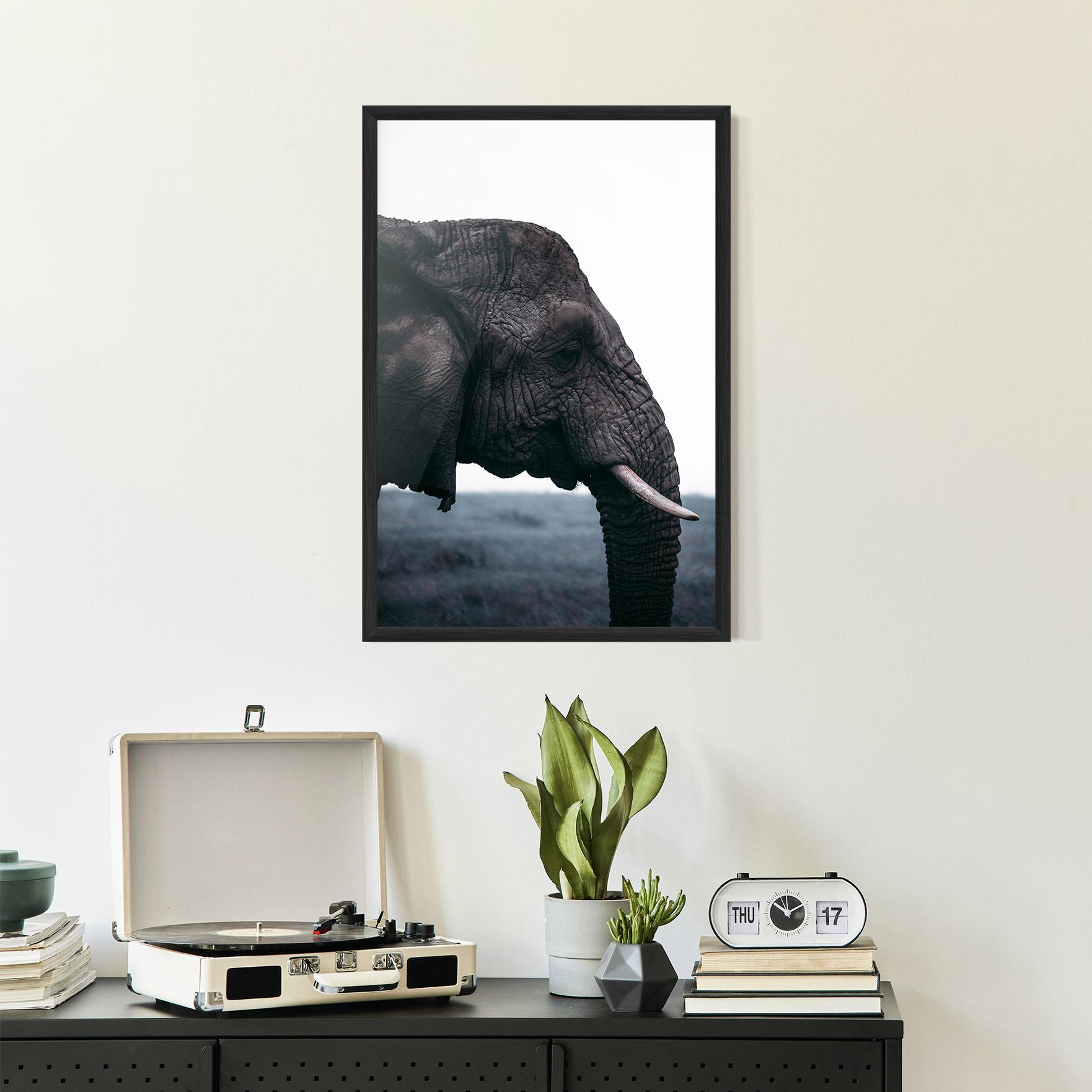 Poster Înrămat Close Grey Eelephant mockup 2