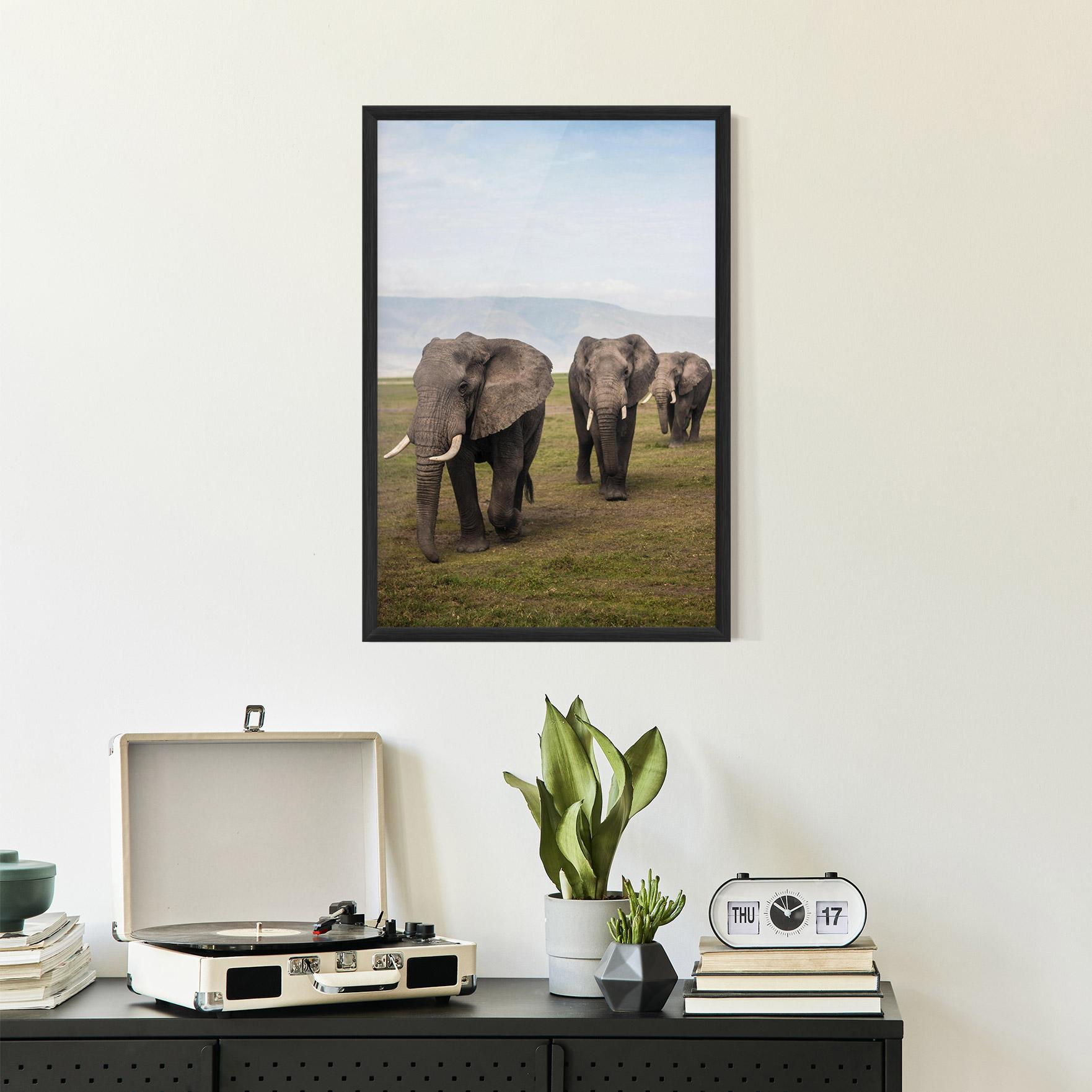 Poster Înrămat Elephant Landscape mockup 2