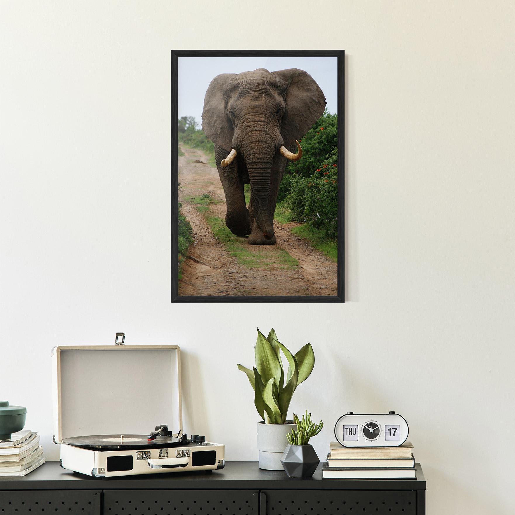 Poster Înrămat Elephant Safari mockup 2