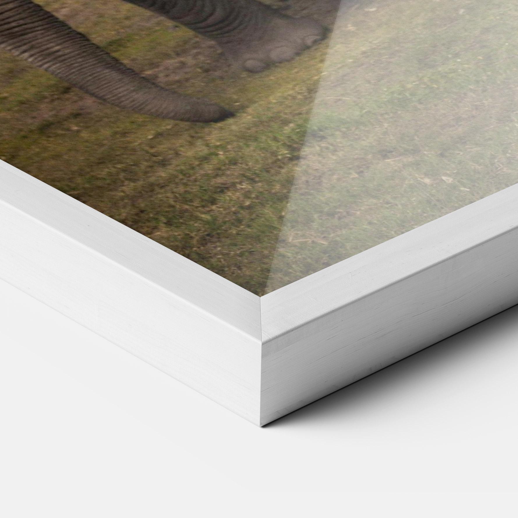 Poster Înrămat Elephant Landscape mockup 3