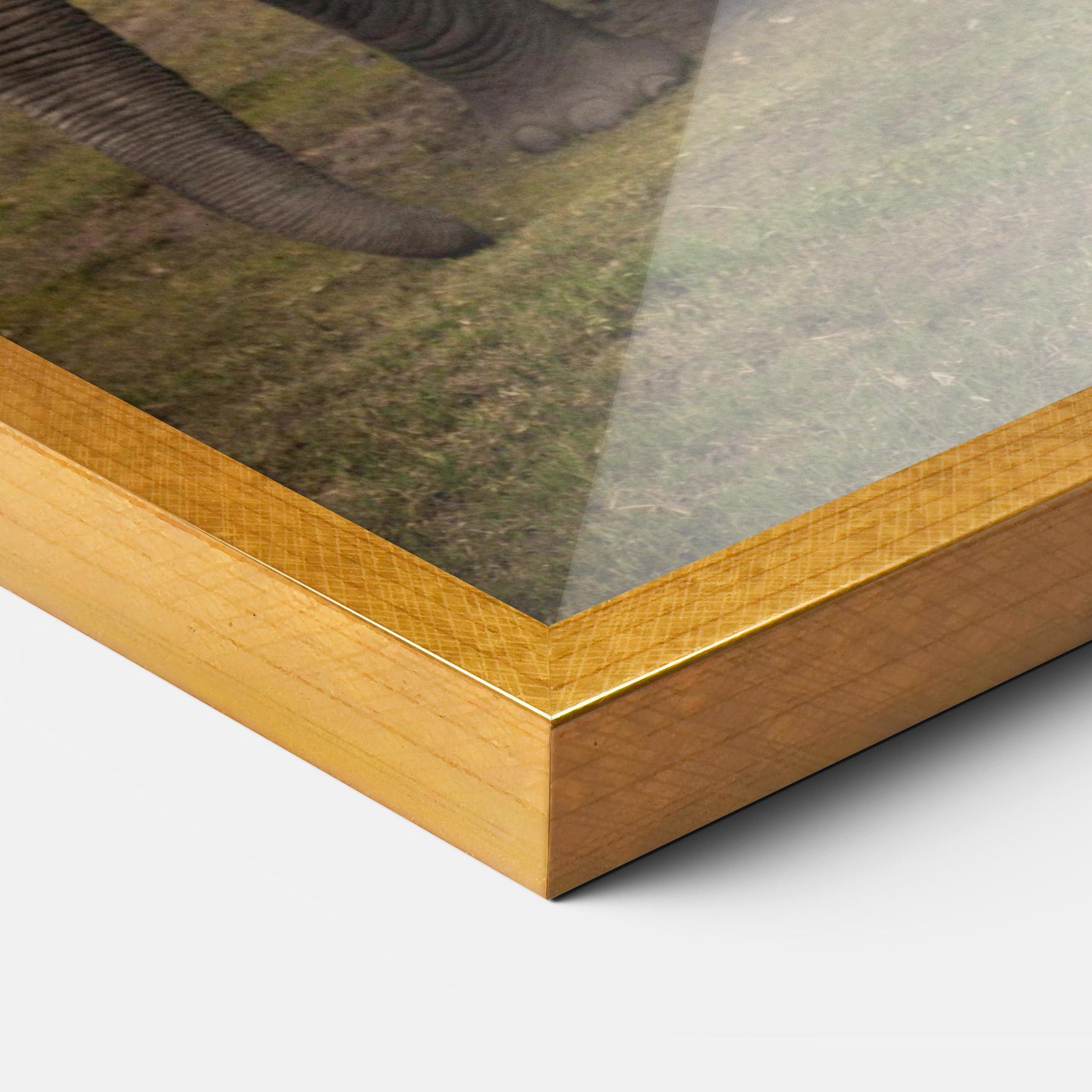 Poster Înrămat Elephant Landscape mockup 3