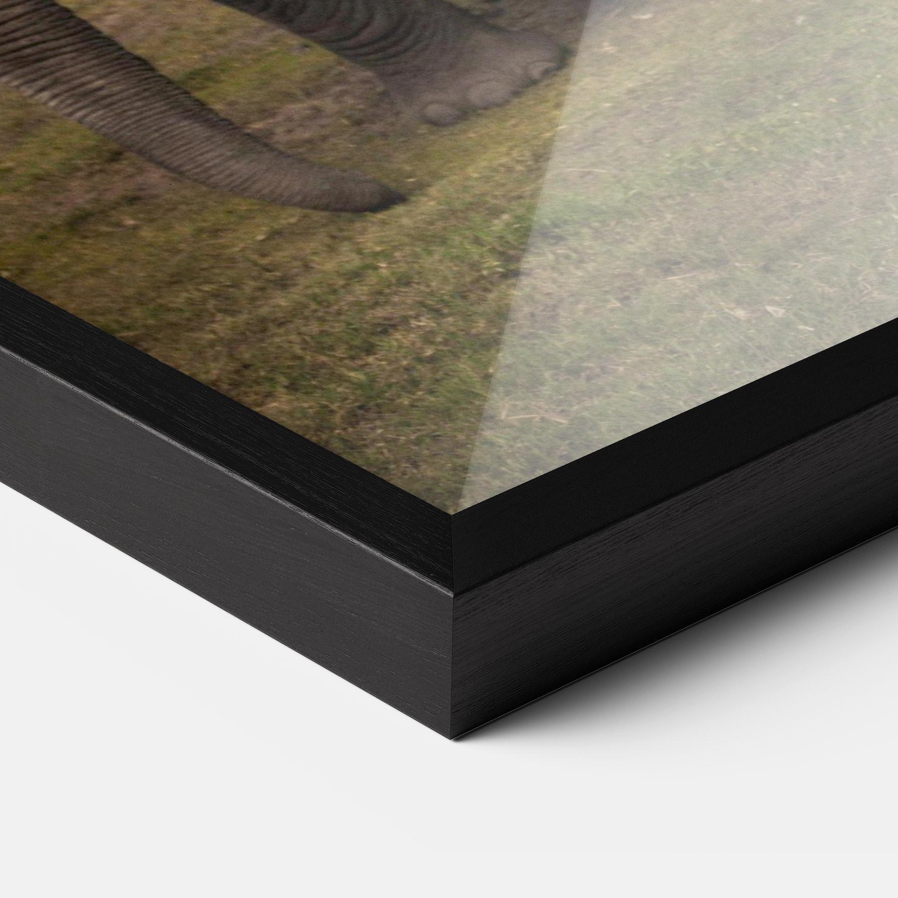 Poster Înrămat Elephant Landscape mockup 3