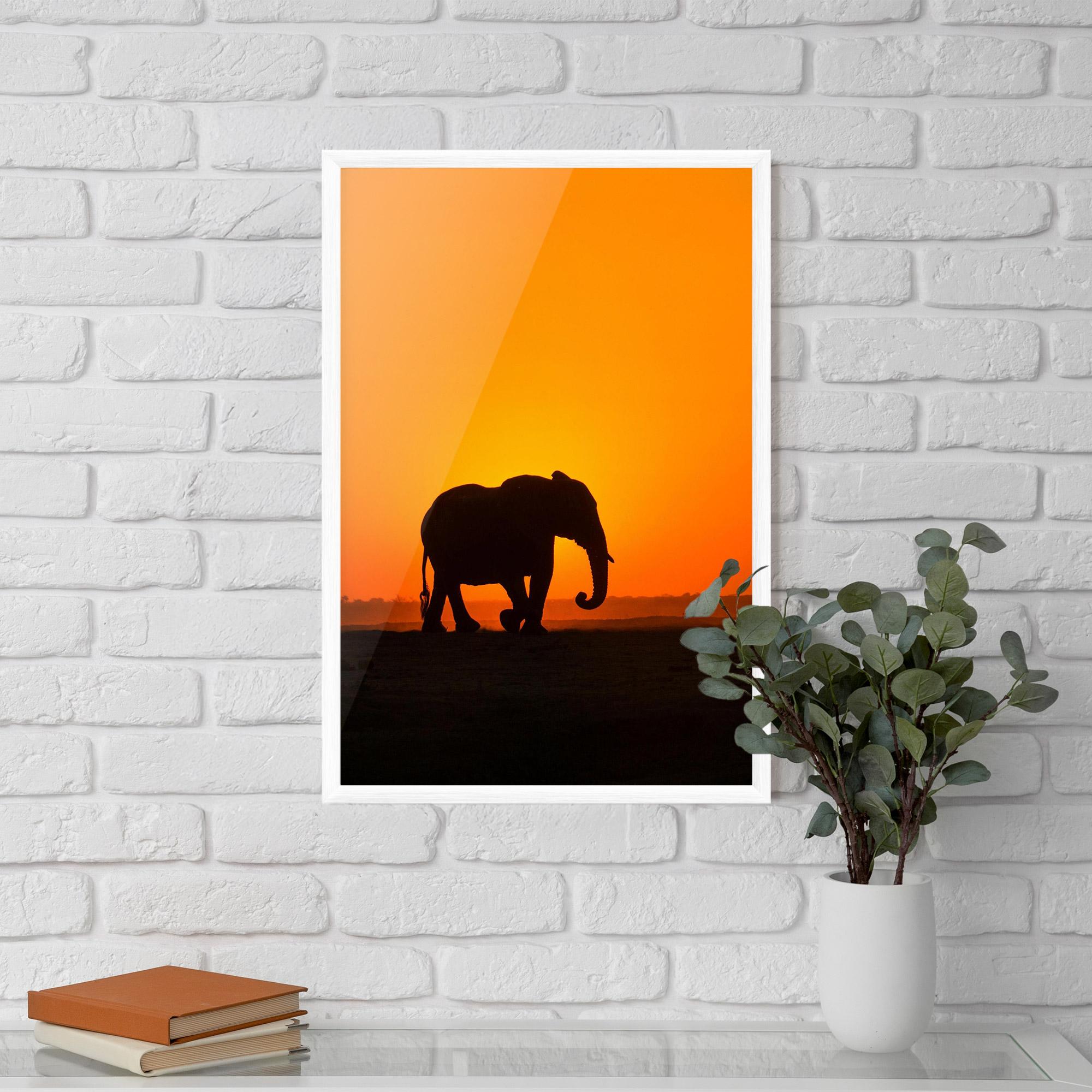 Poster Înrămat Beautiful Elephant mockup 5