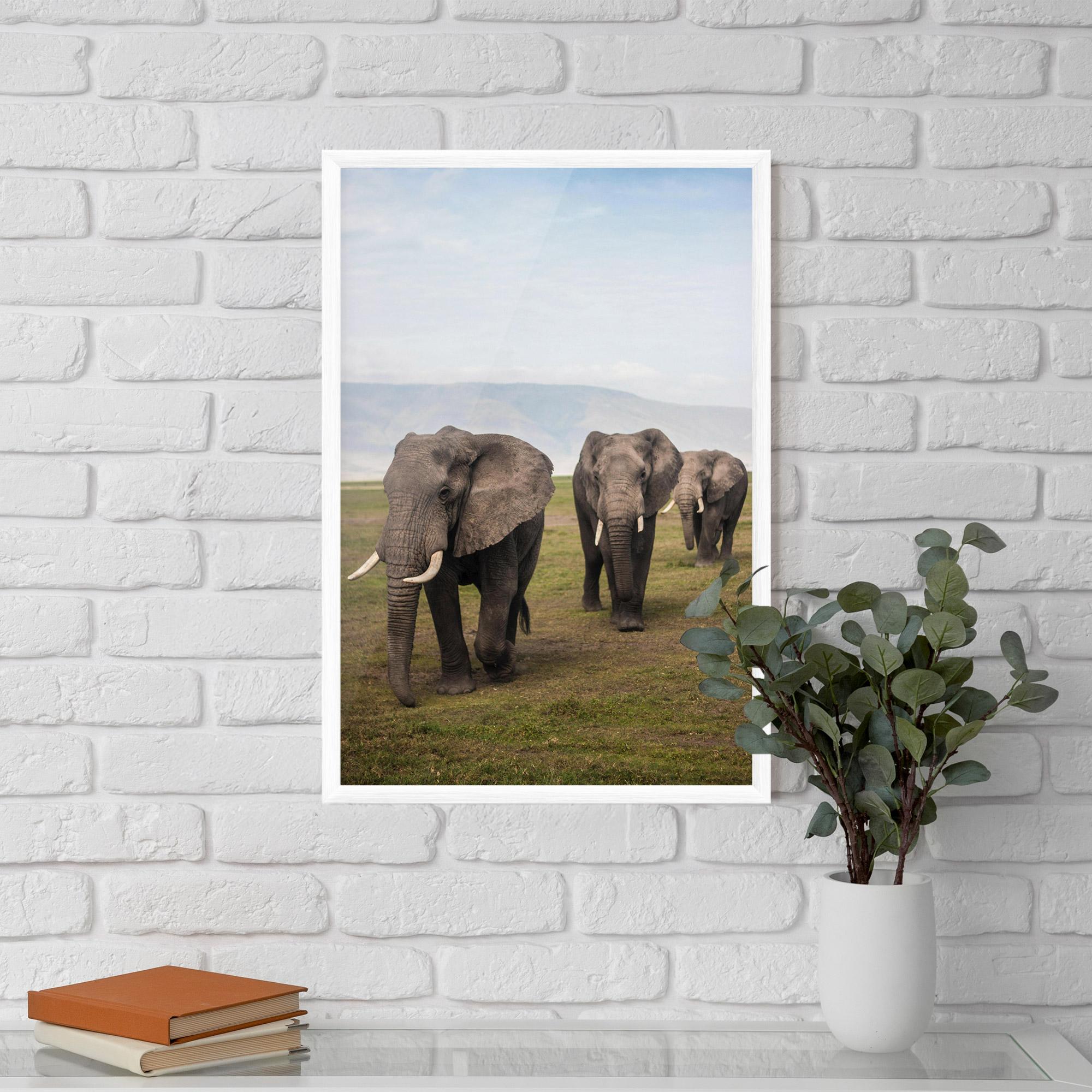 Poster Înrămat Elephant Landscape mockup 5