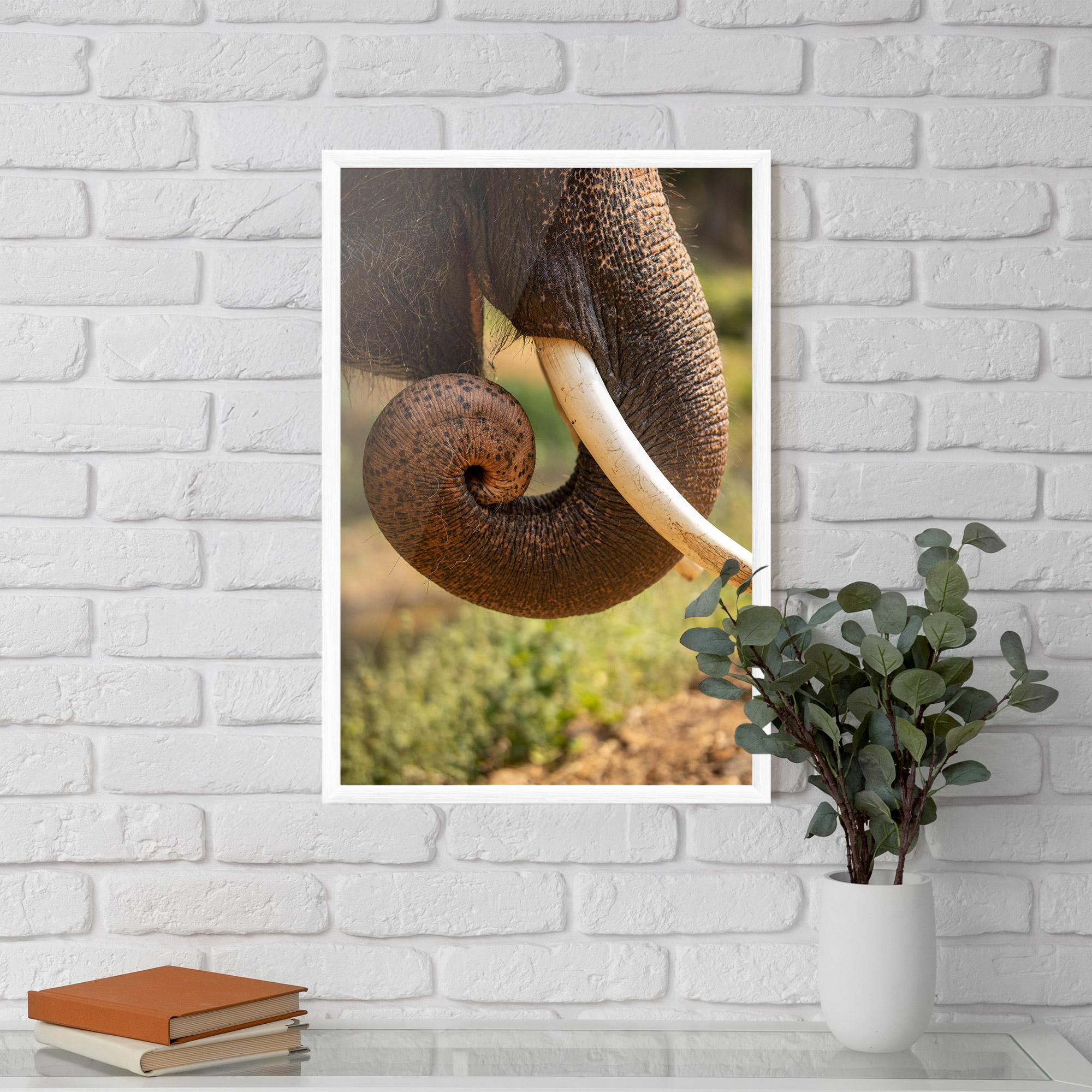 Poster Înrămat Elephant Mouth Close Up mockup 5