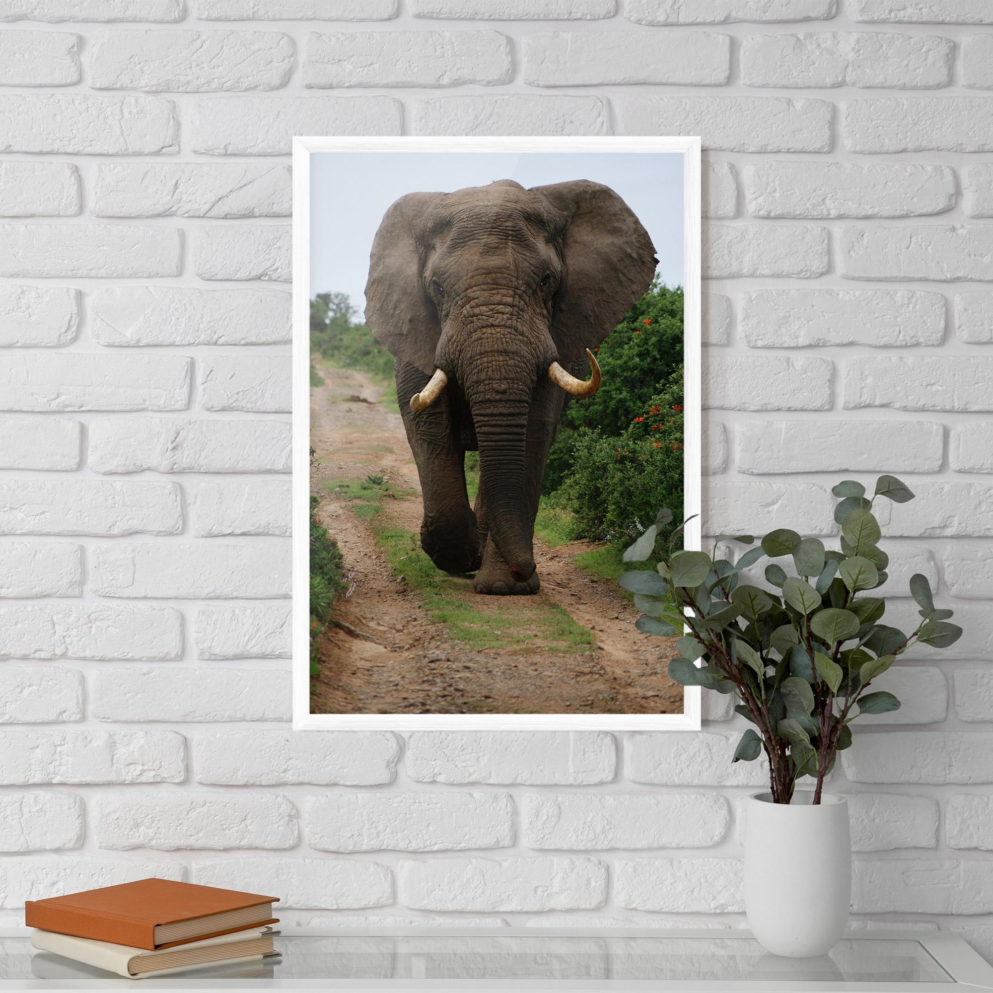 Poster Înrămat Elephant Safari mockup 5