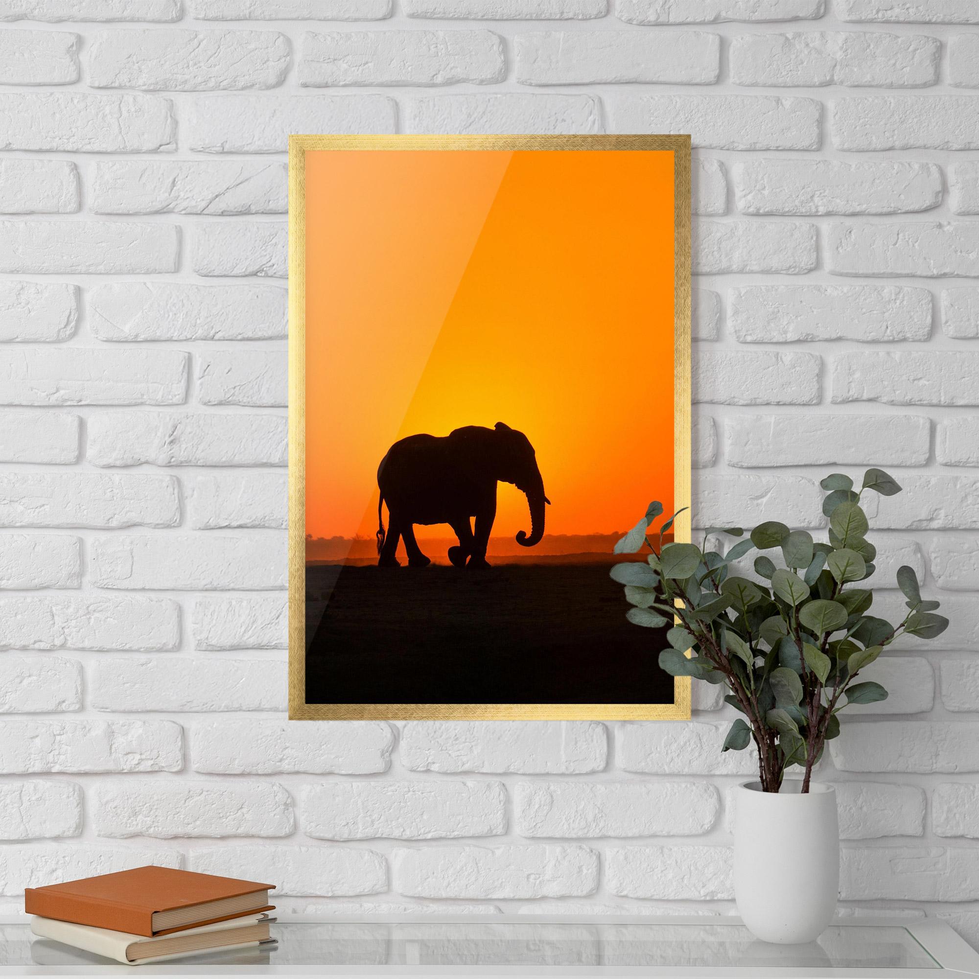 Poster Înrămat Beautiful Elephant mockup 5