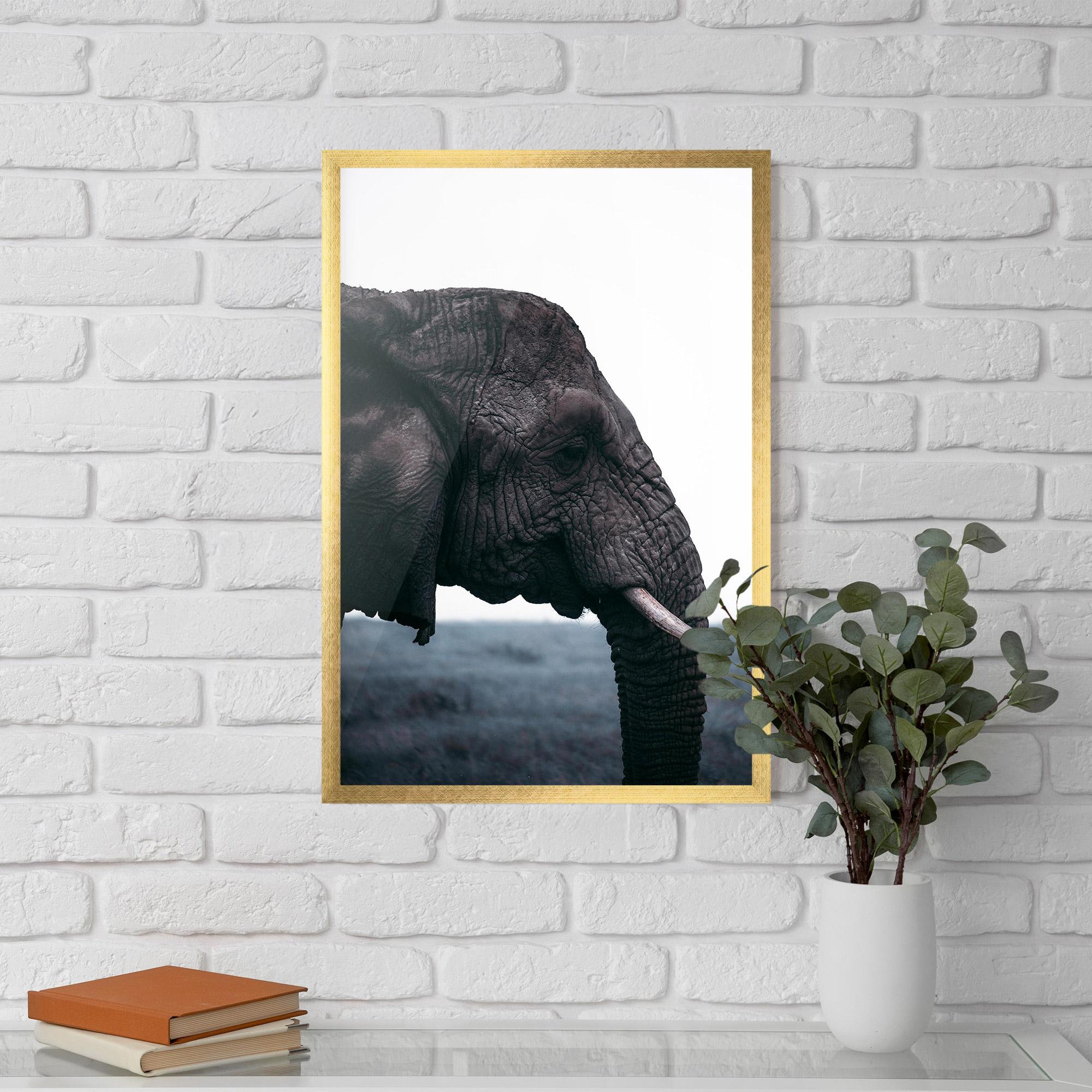 Poster Înrămat Close Grey Eelephant mockup 5
