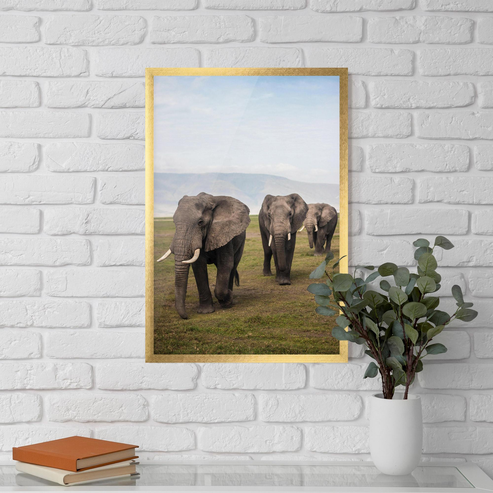 Poster Înrămat Elephant Landscape mockup 5