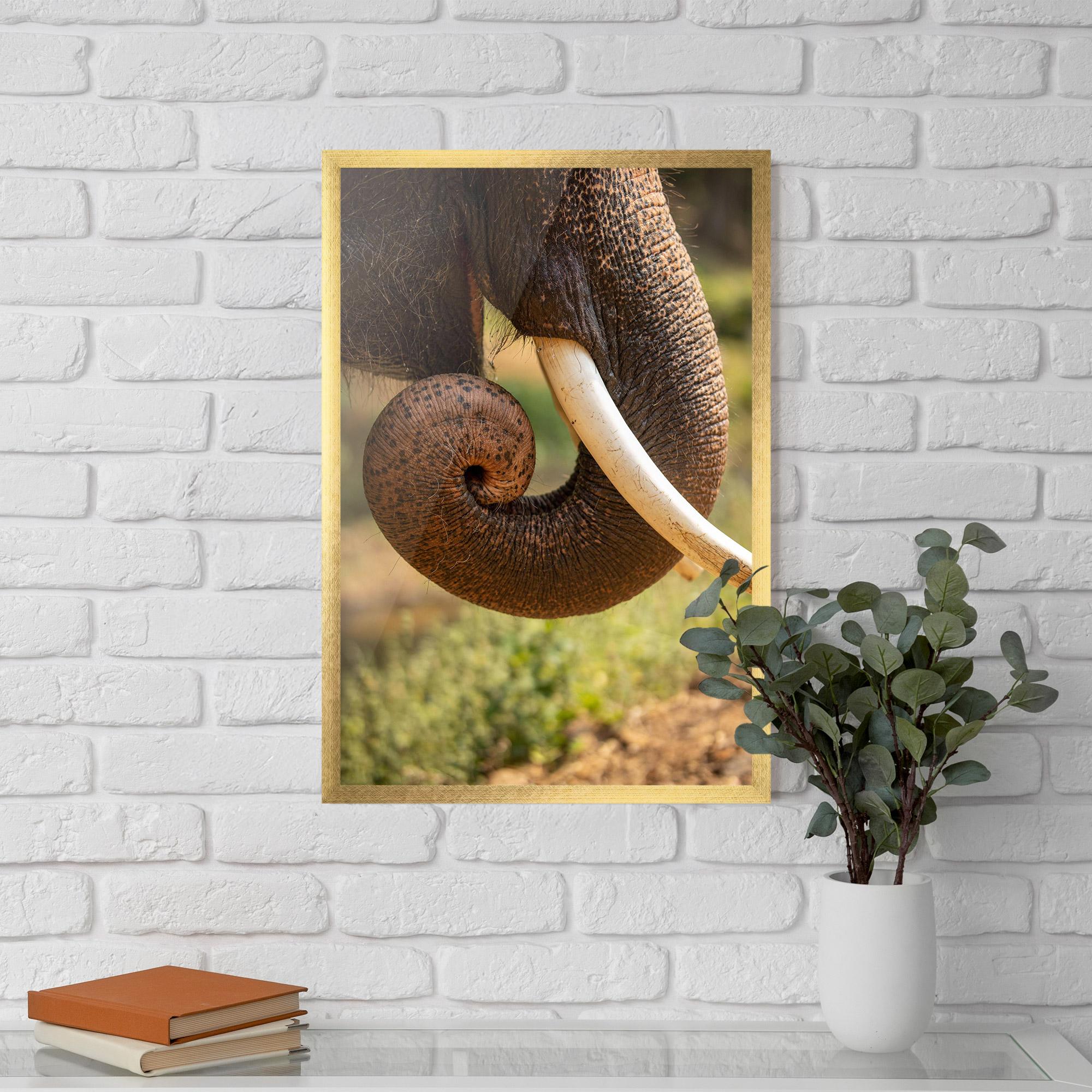 Poster Înrămat Elephant Mouth Close Up mockup 5