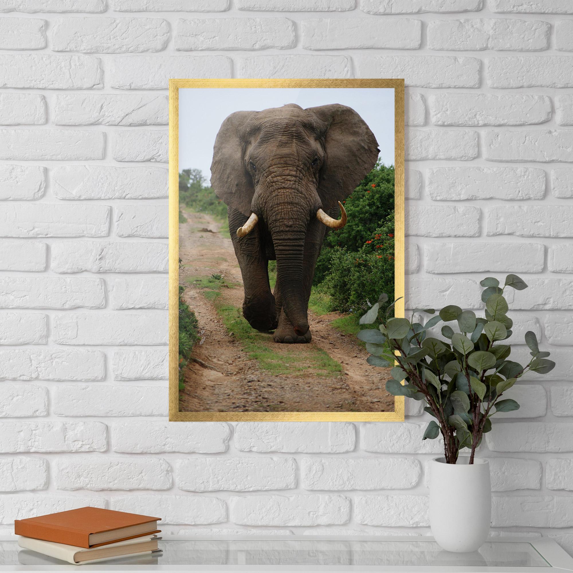 Poster Înrămat Elephant Safari mockup 5
