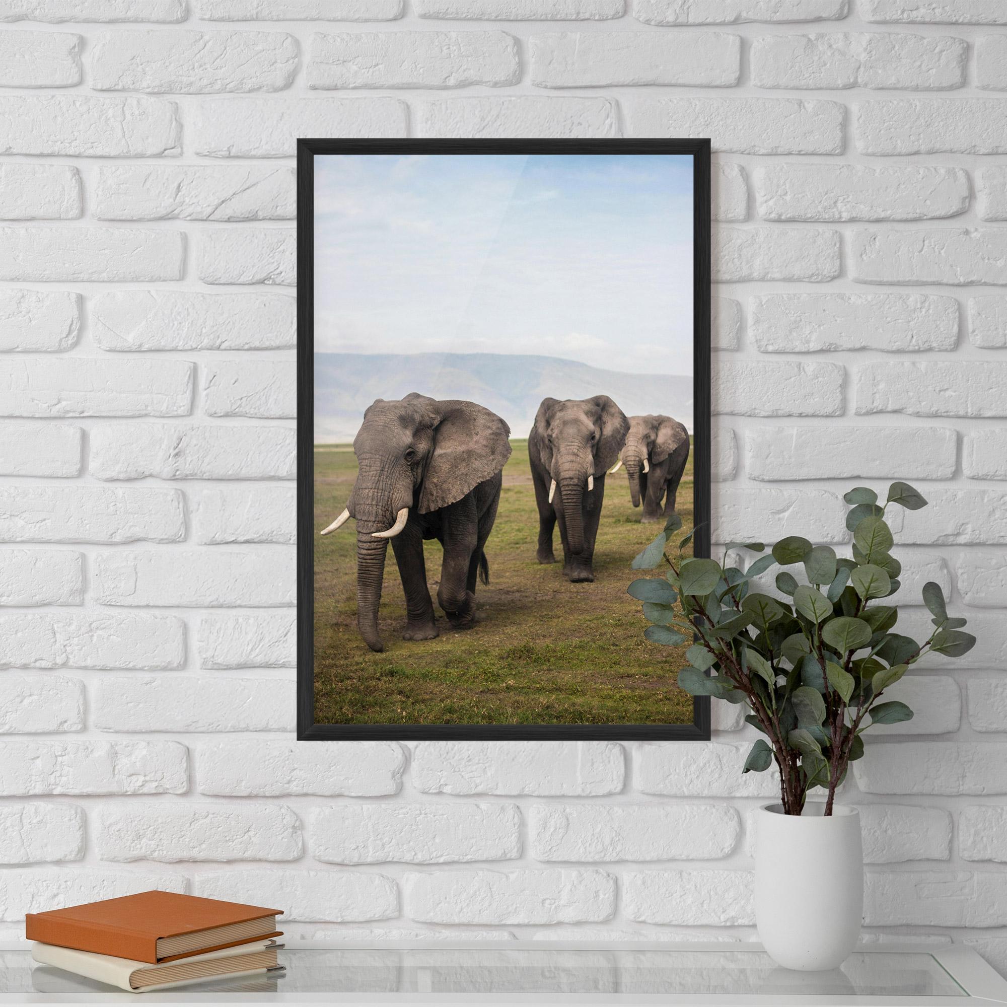 Poster Înrămat Elephant Landscape mockup 5