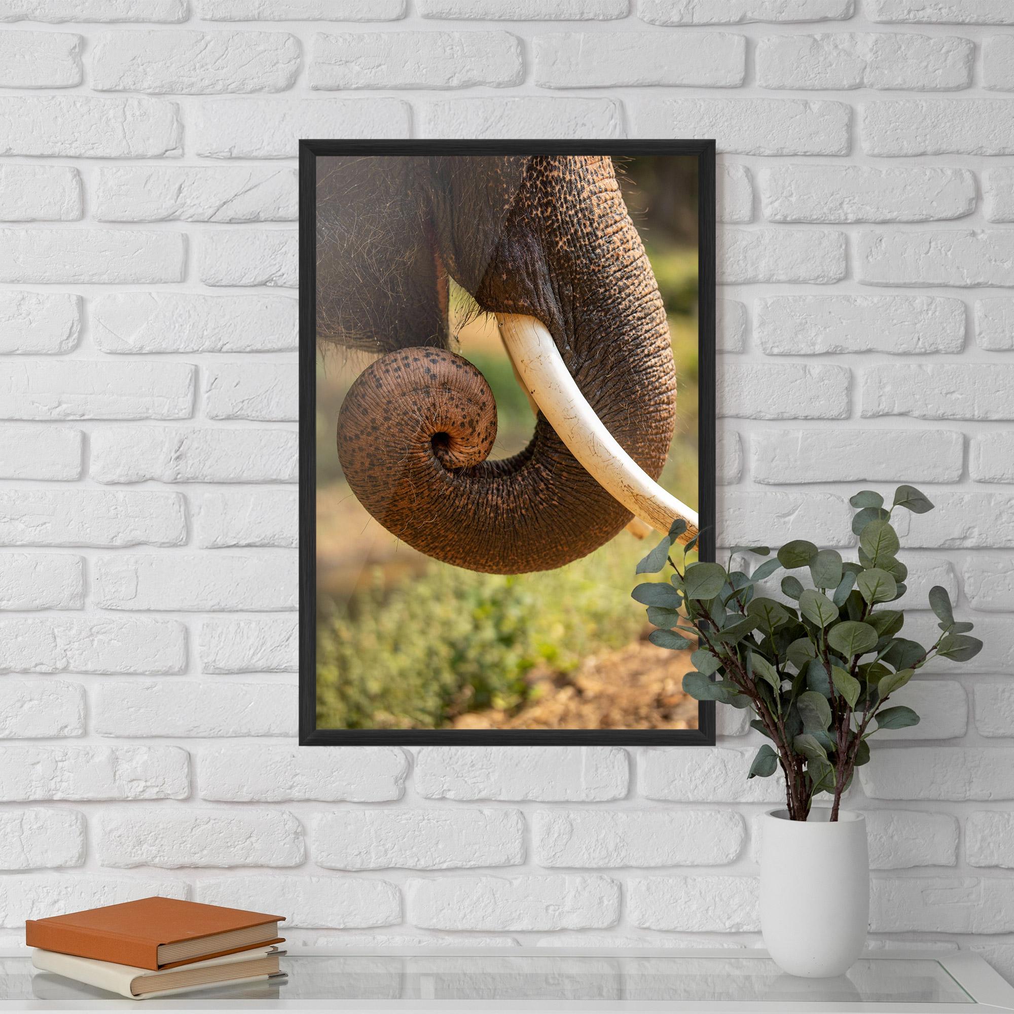 Poster Înrămat Elephant Mouth Close Up mockup 5