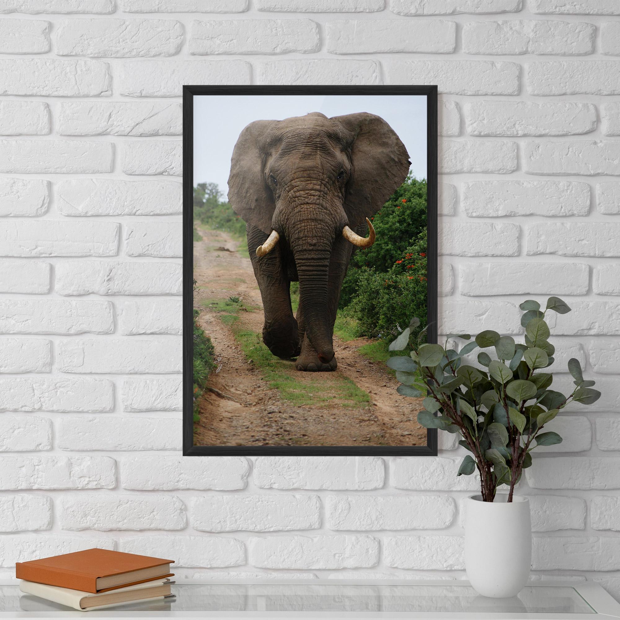 Poster Înrămat Elephant Safari mockup 5