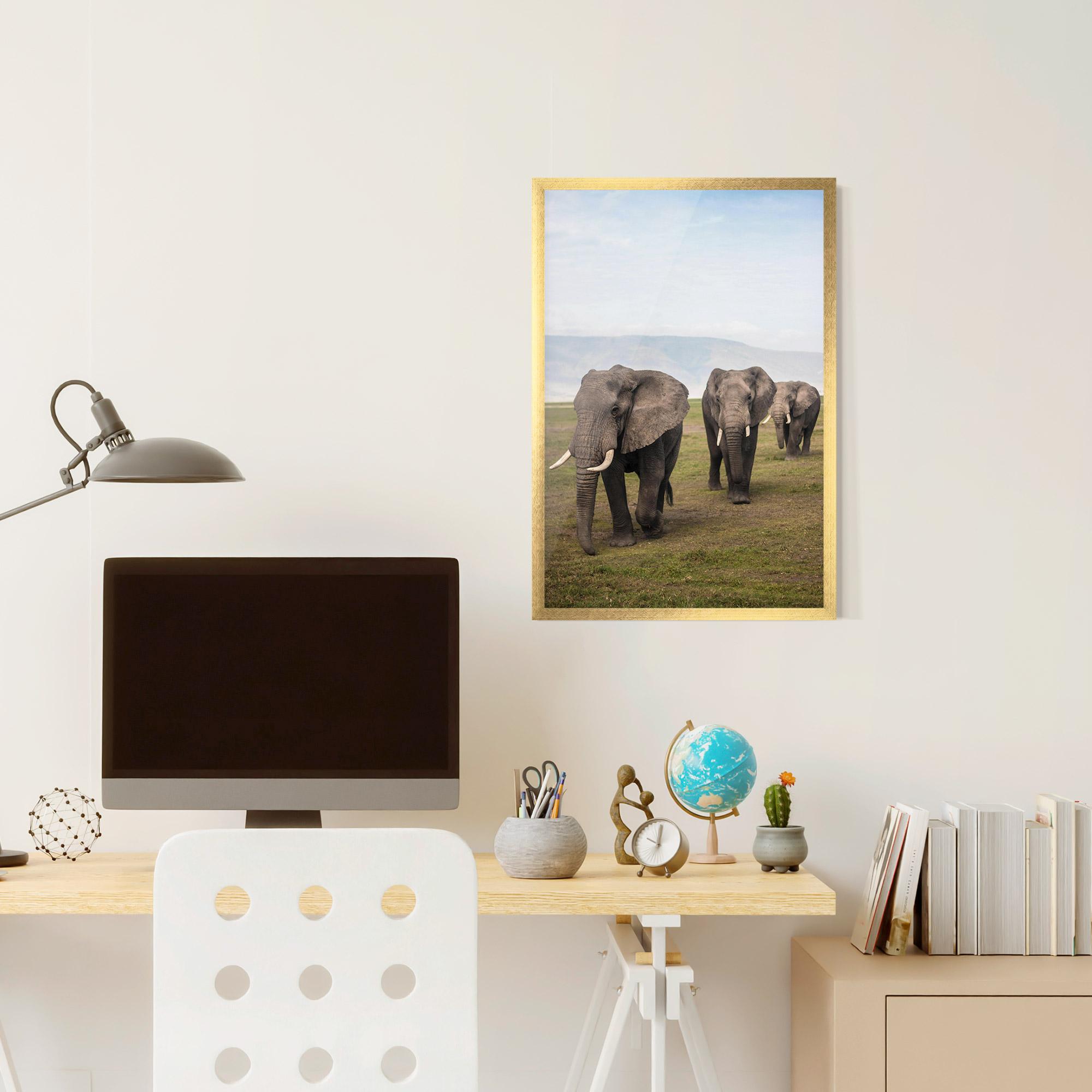 Poster Înrămat Elephant Landscape mockup 6