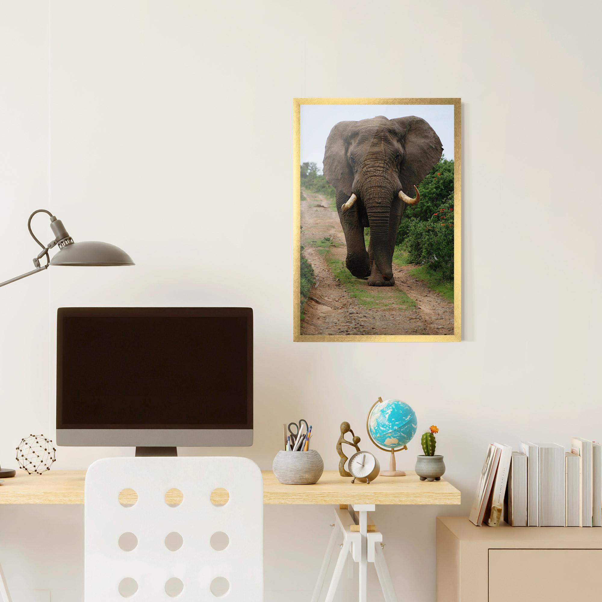 Poster Înrămat Elephant Safari mockup 6
