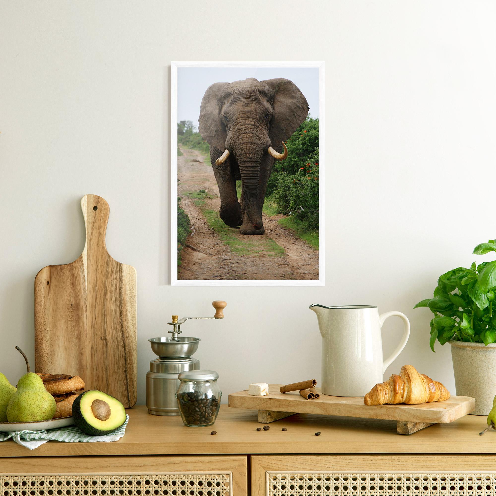 Poster Înrămat Elephant Safari mockup 8