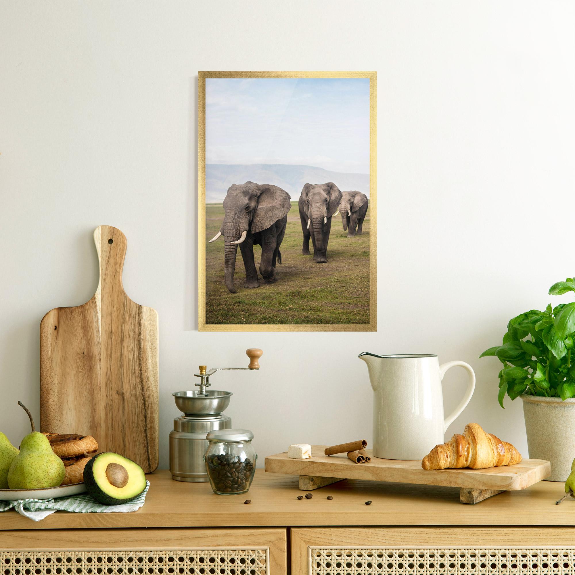 Poster Înrămat Elephant Landscape mockup 8