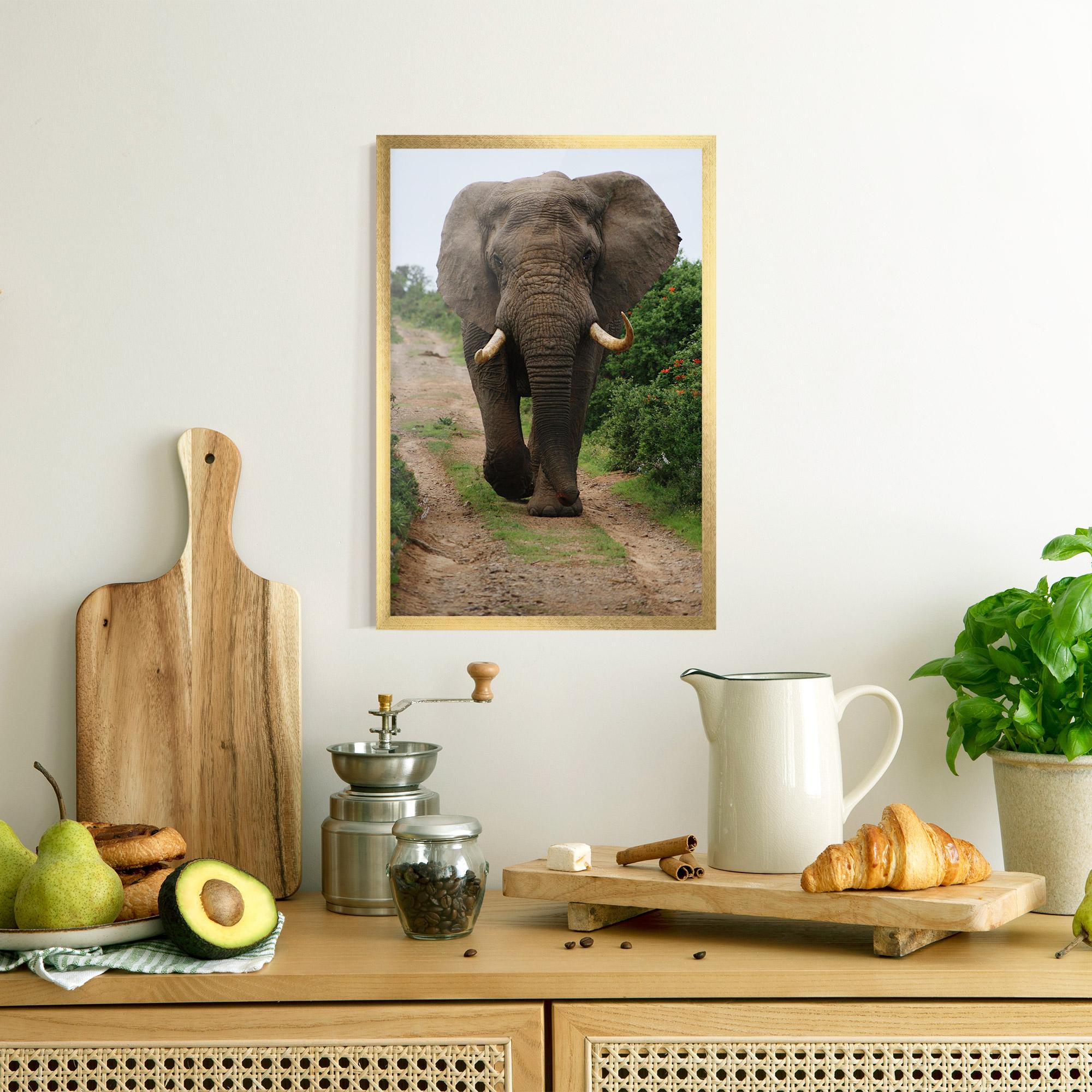 Poster Înrămat Elephant Safari mockup 8