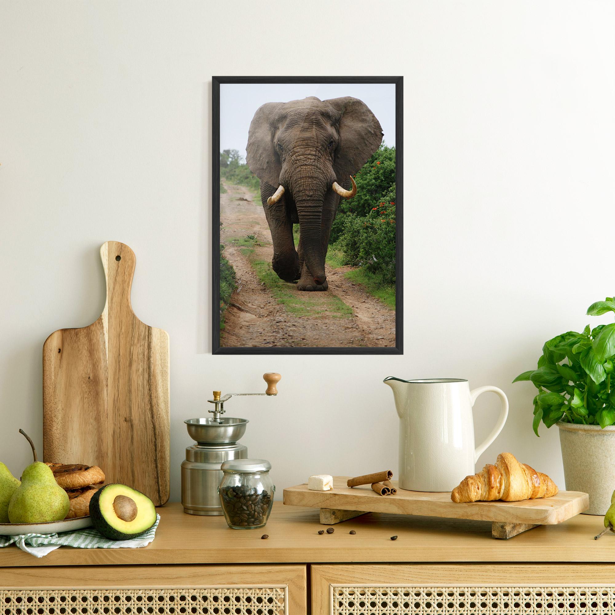 Poster Înrămat Elephant Safari mockup 8