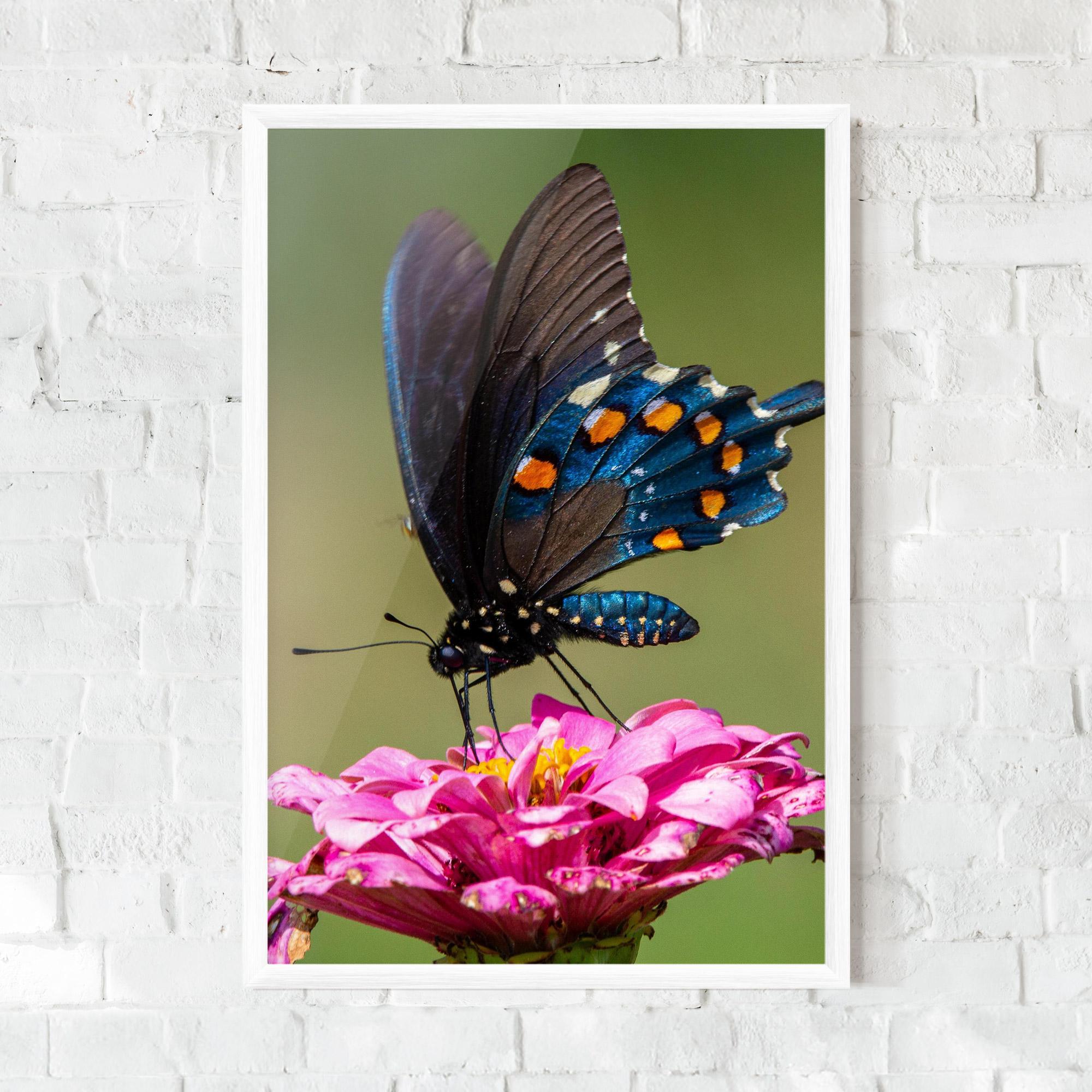 Poster Înrămat Blue Grey Butterfly mockup 0