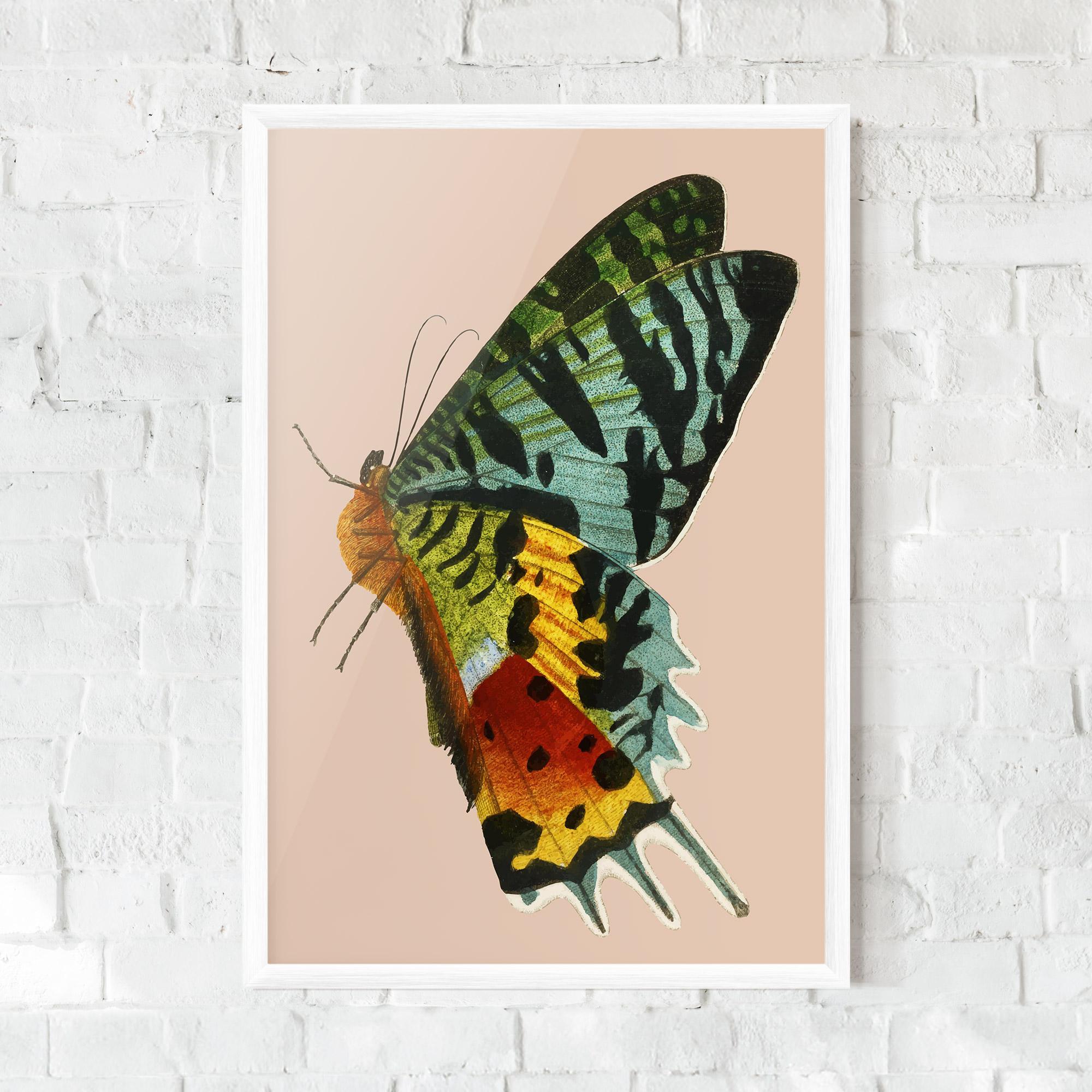 Poster Înrămat Butterfly On Pink mockup 0