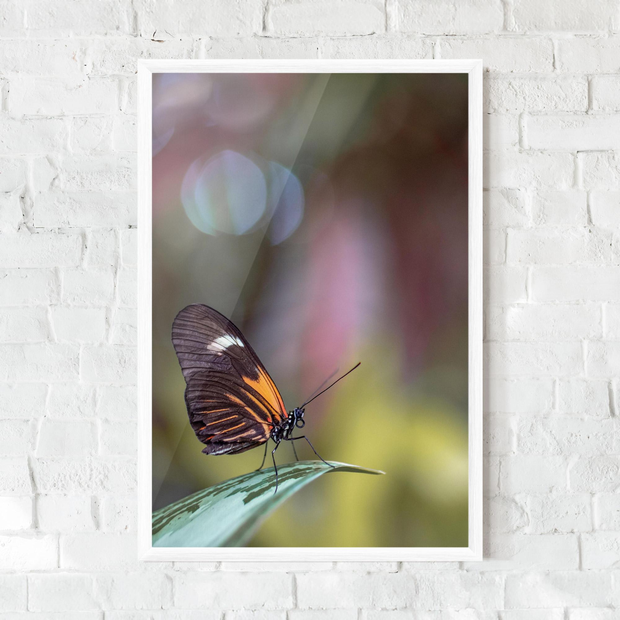 Poster Înrămat Dark Purple Butterfly mockup 0