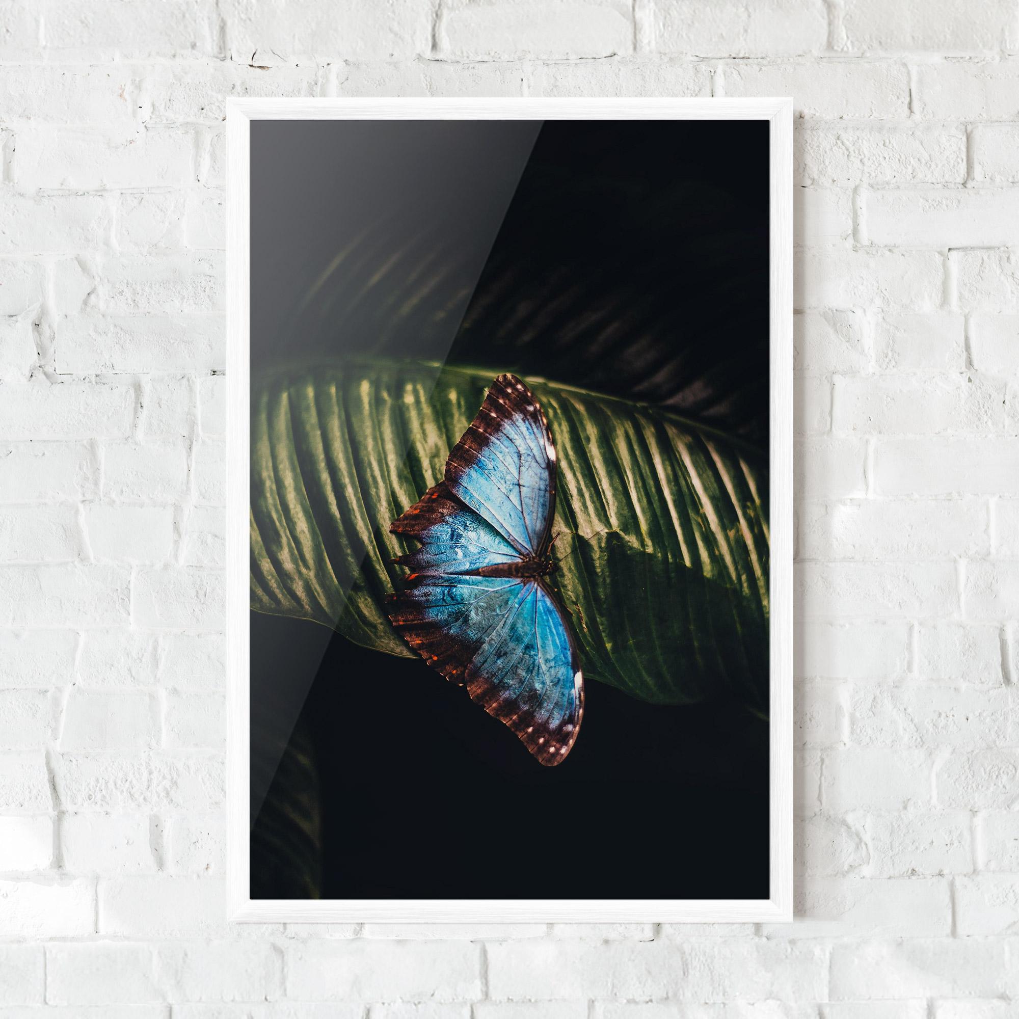 Poster Înrămat Light Blue Butterfly mockup 0