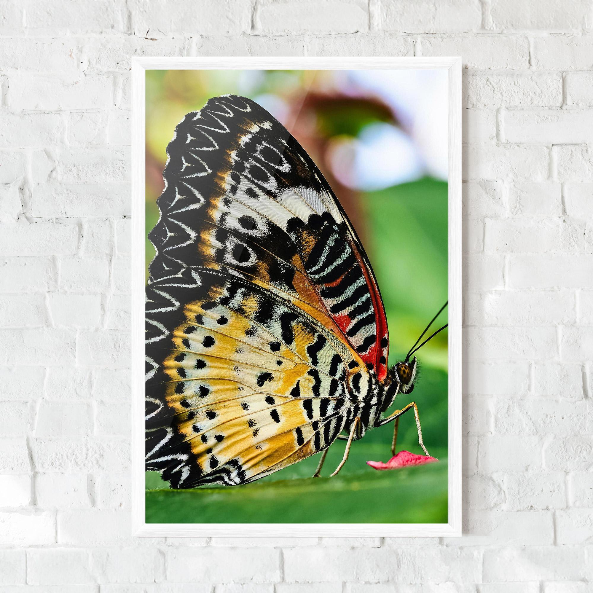 Poster Înrămat Pretty Colorful Butterfly mockup 0