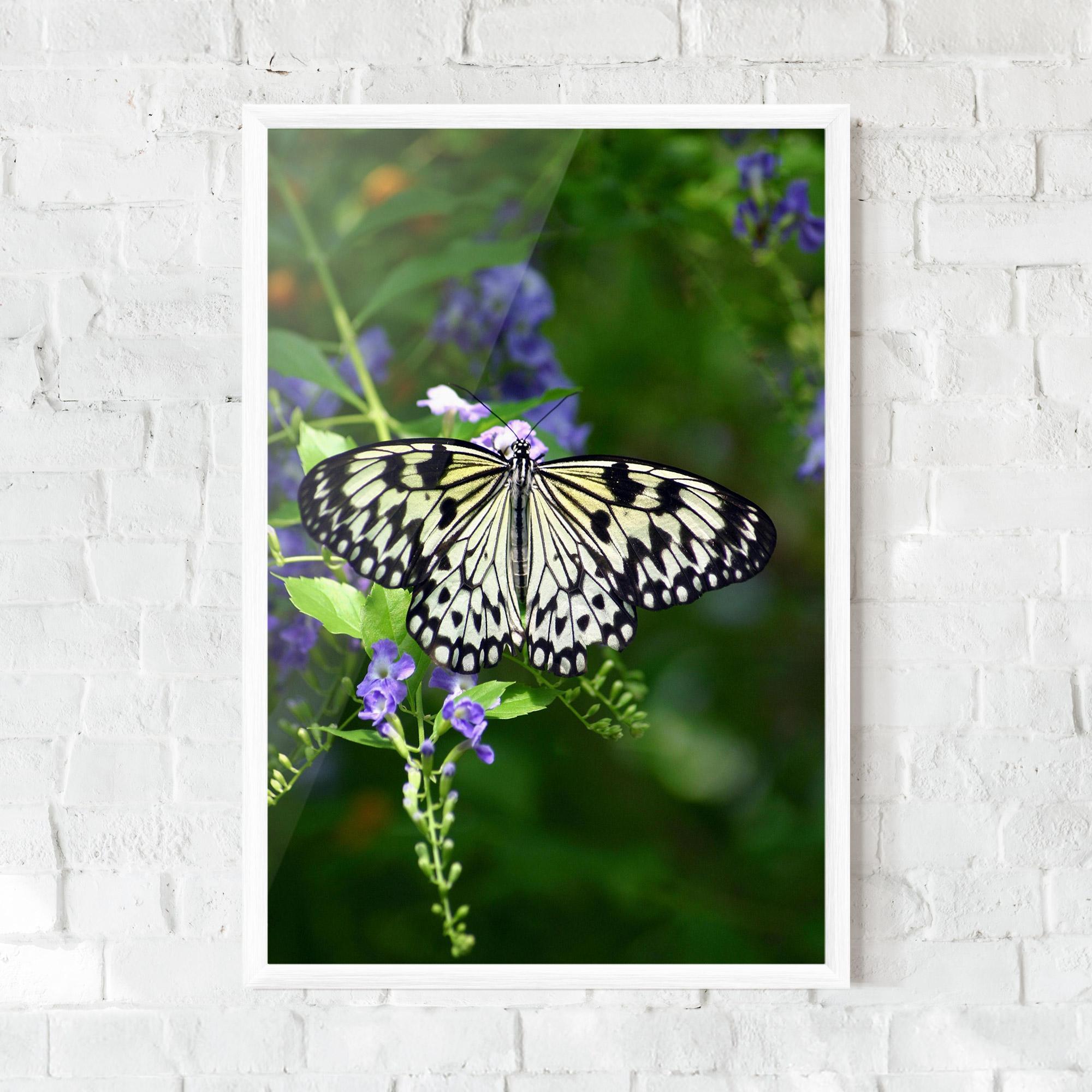 Poster Înrămat Pretty White Butterfly mockup 0