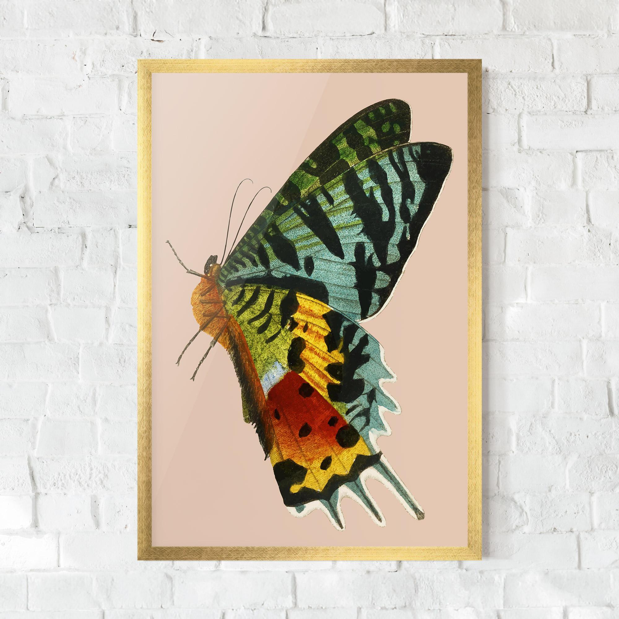 Poster Înrămat Butterfly On Pink mockup 0