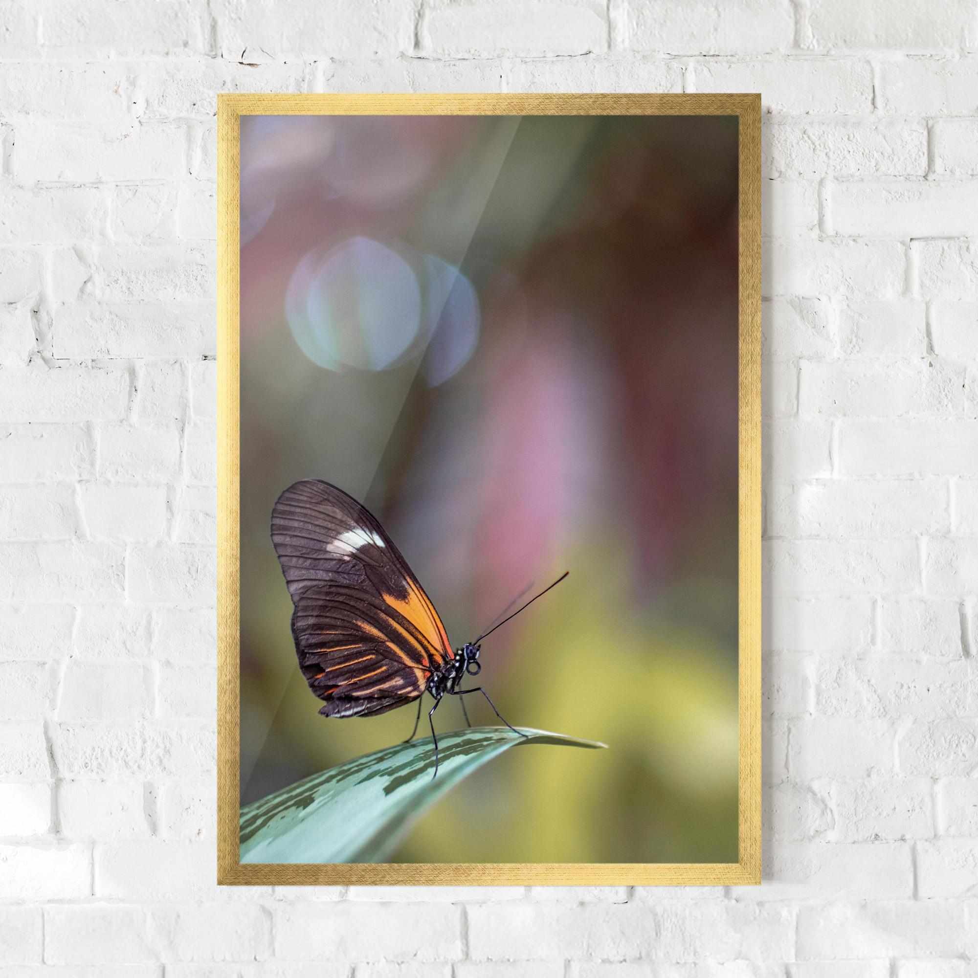 Poster Înrămat Dark Purple Butterfly mockup 0