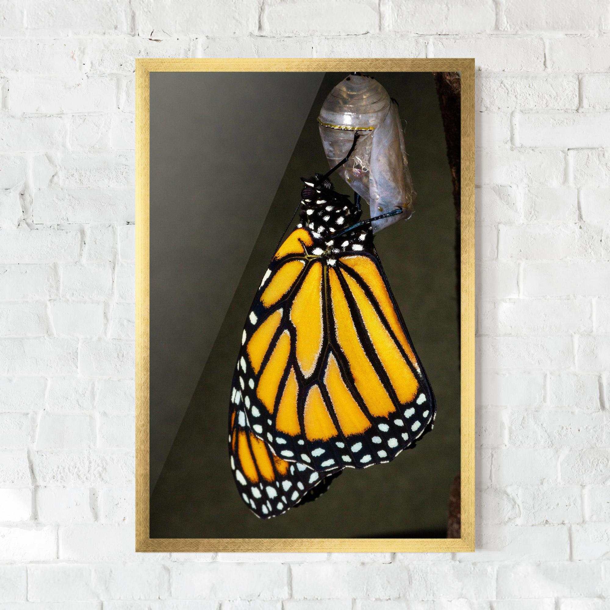 Poster Înrămat Dark Yellow Butterfly mockup 0